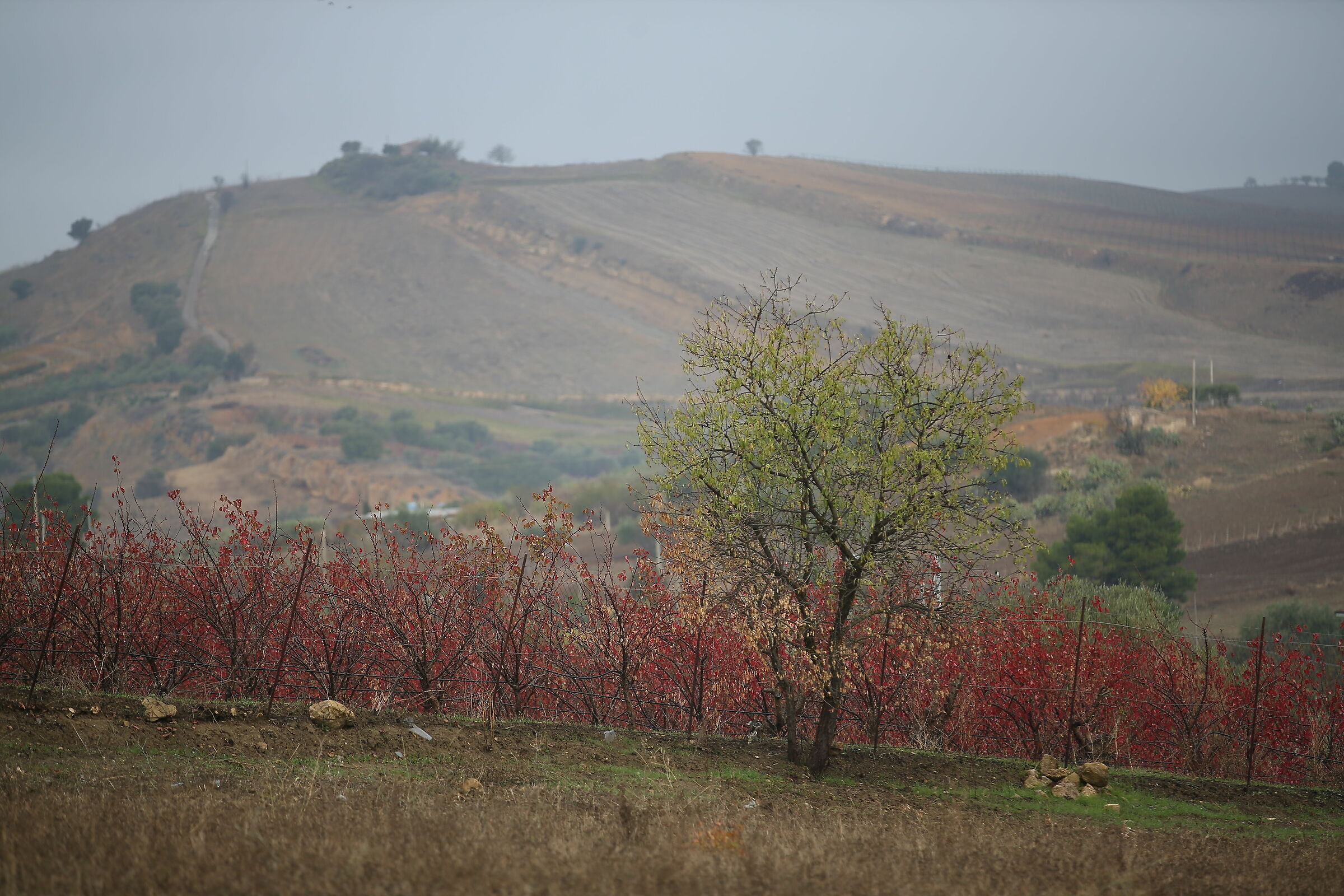 I colori dell'autunno!