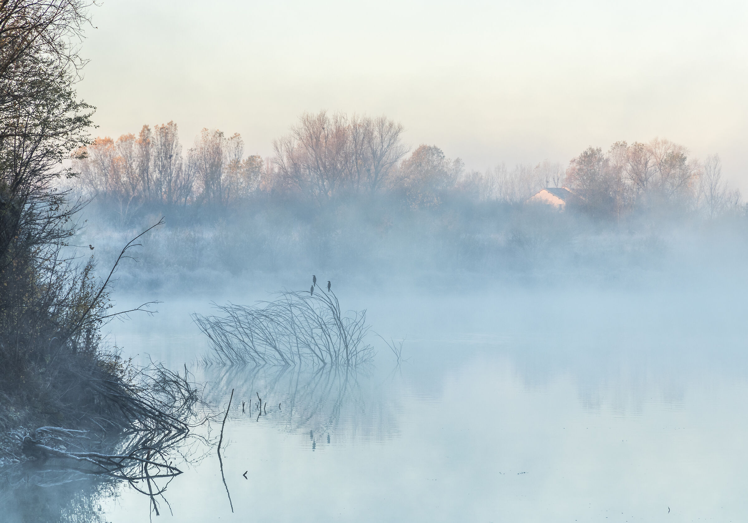 Aspettando l'inverno