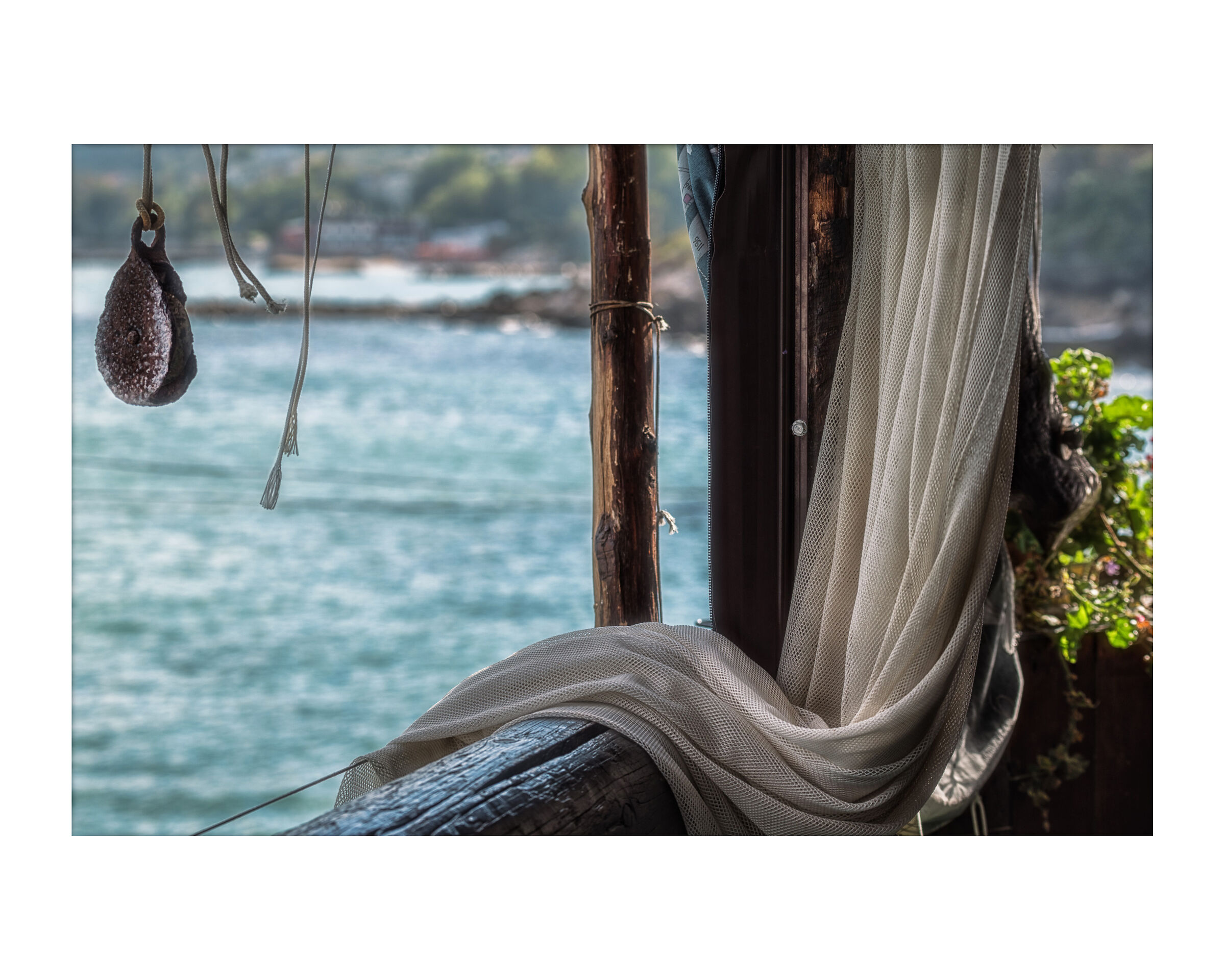 Affacciata sul trabocco