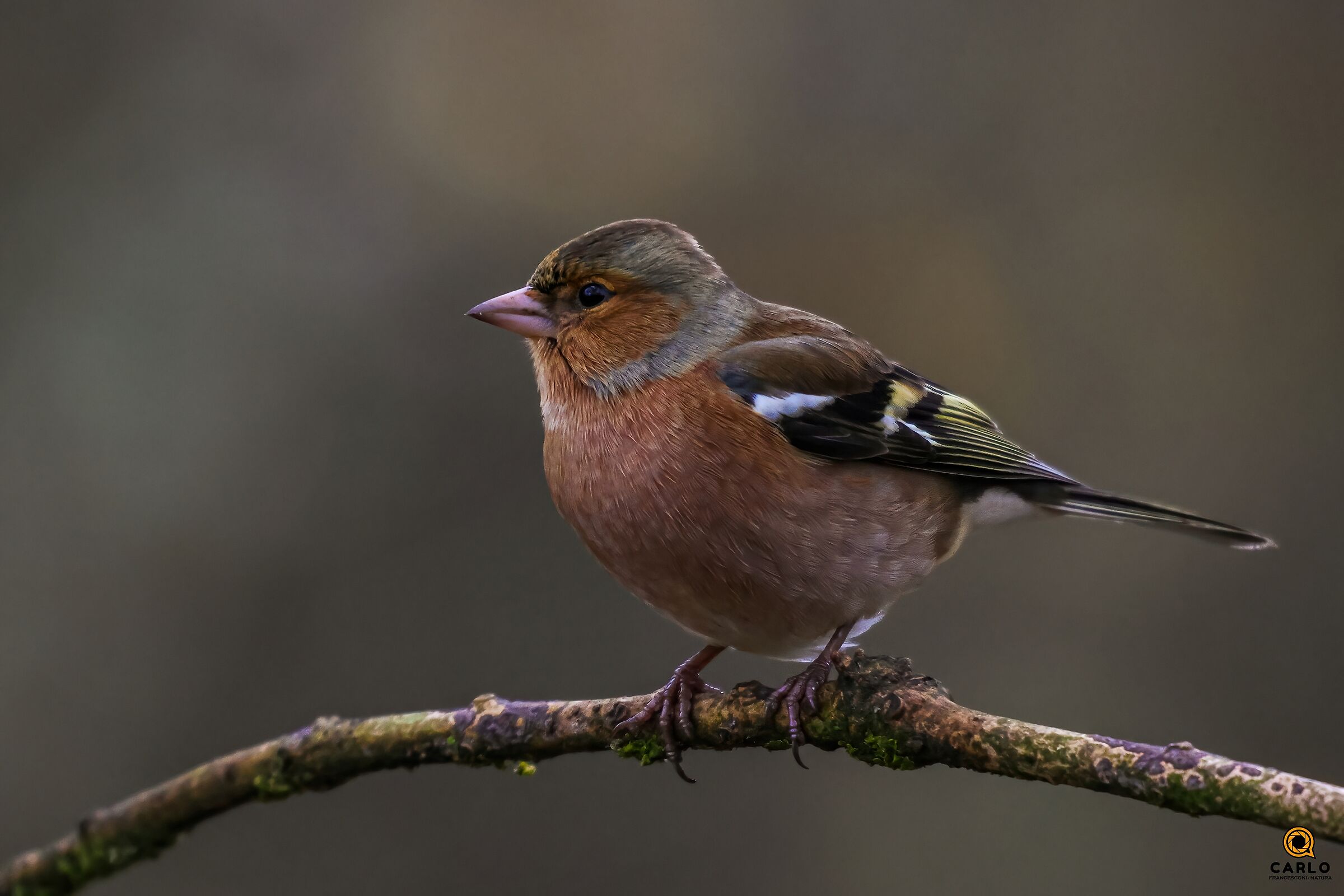 in posa: come son bello