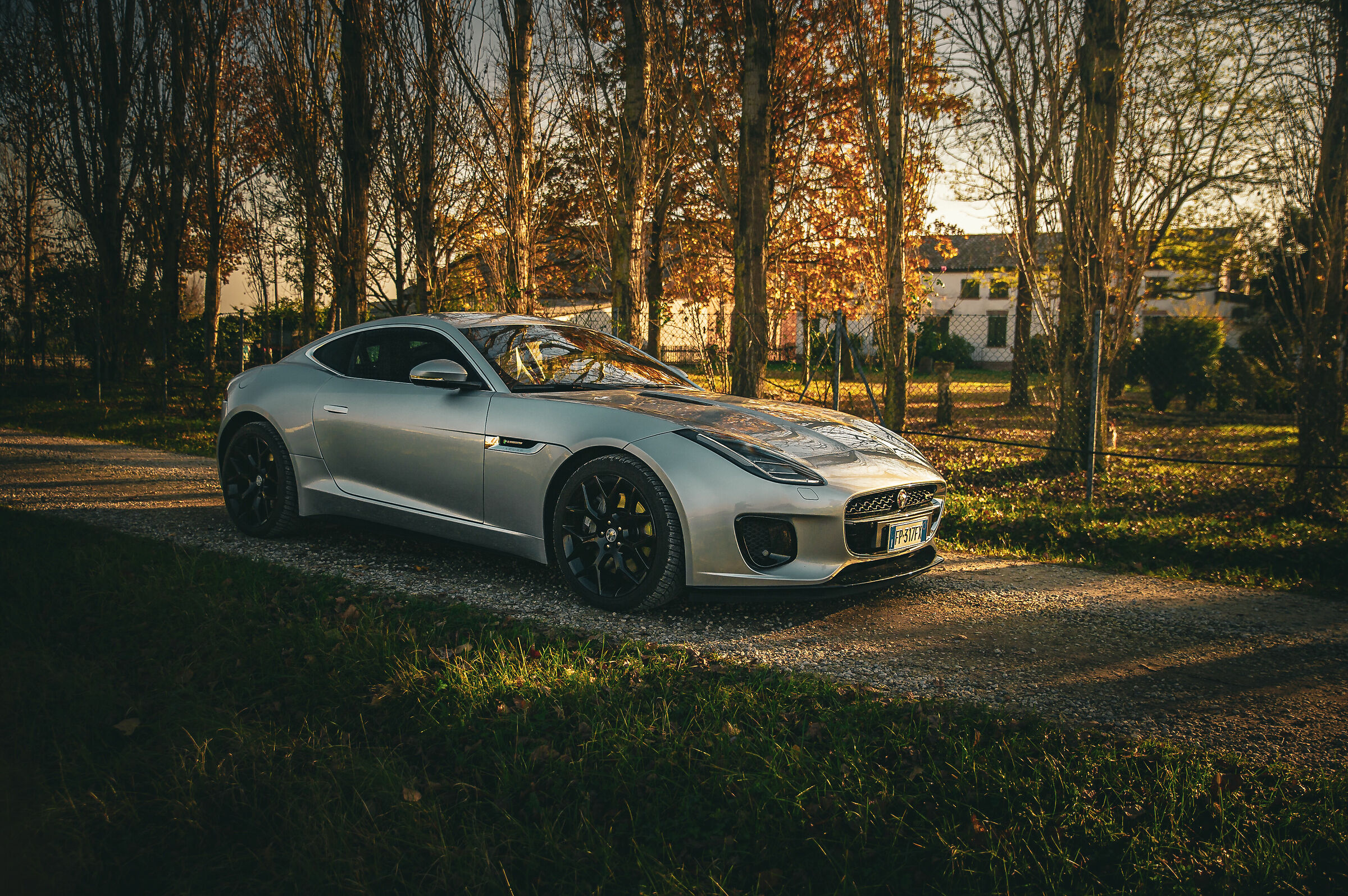 F-Type 1