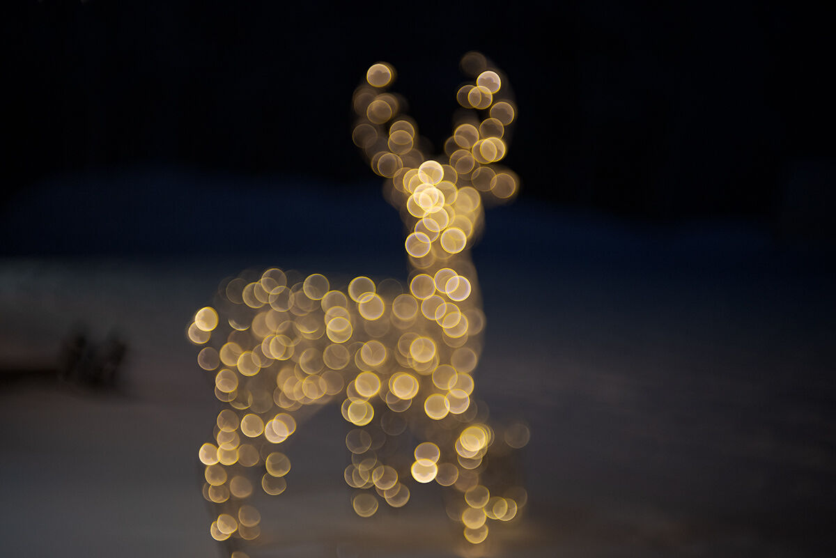 The reindeer lights
