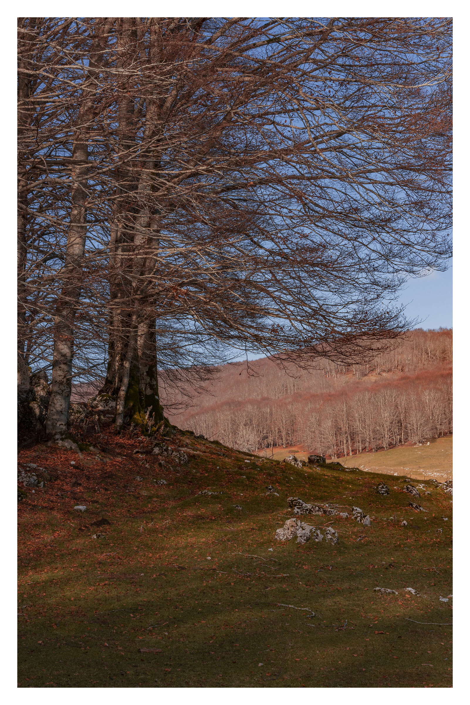 Entrance to the plateau