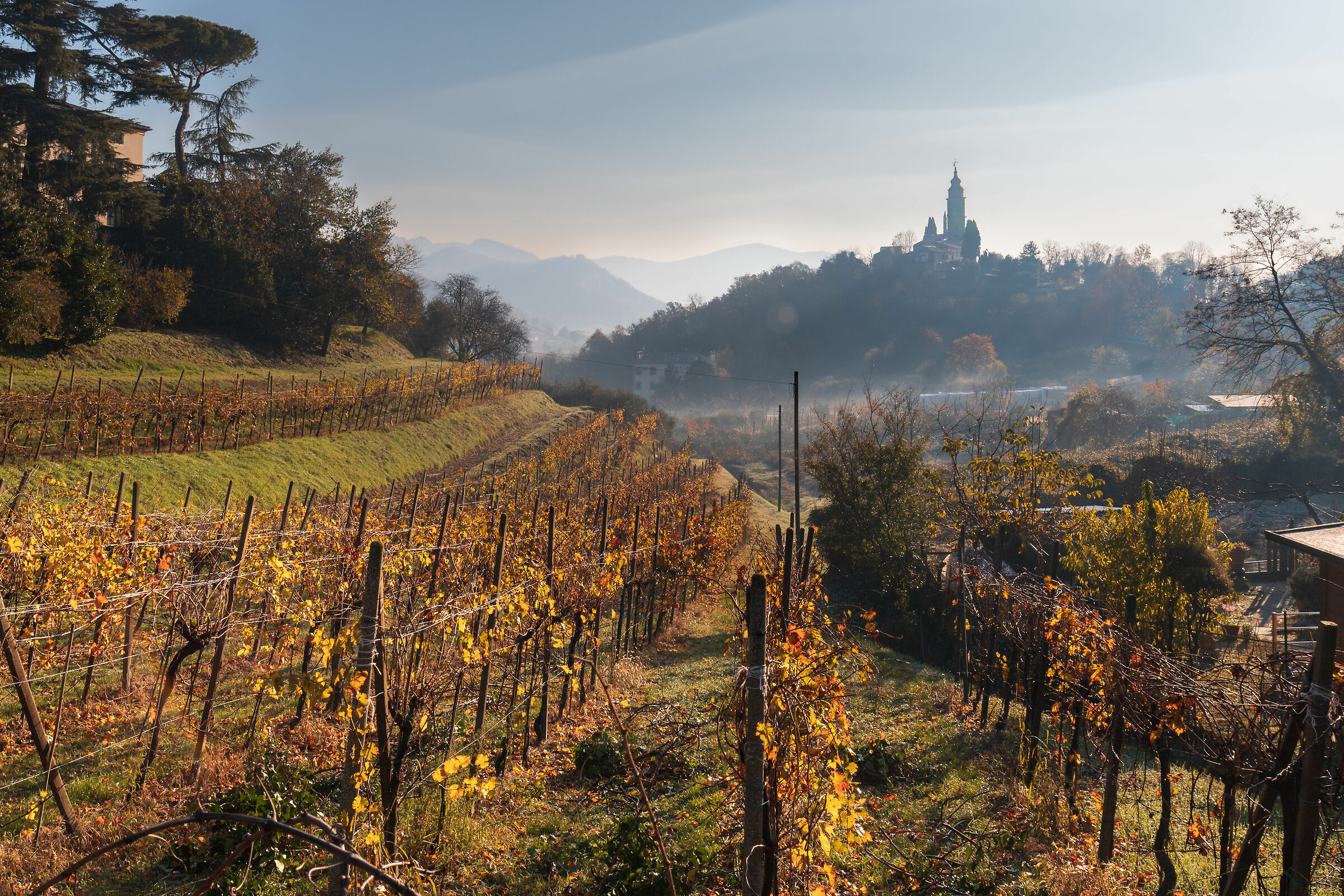 Galzignano - Colli Euganei