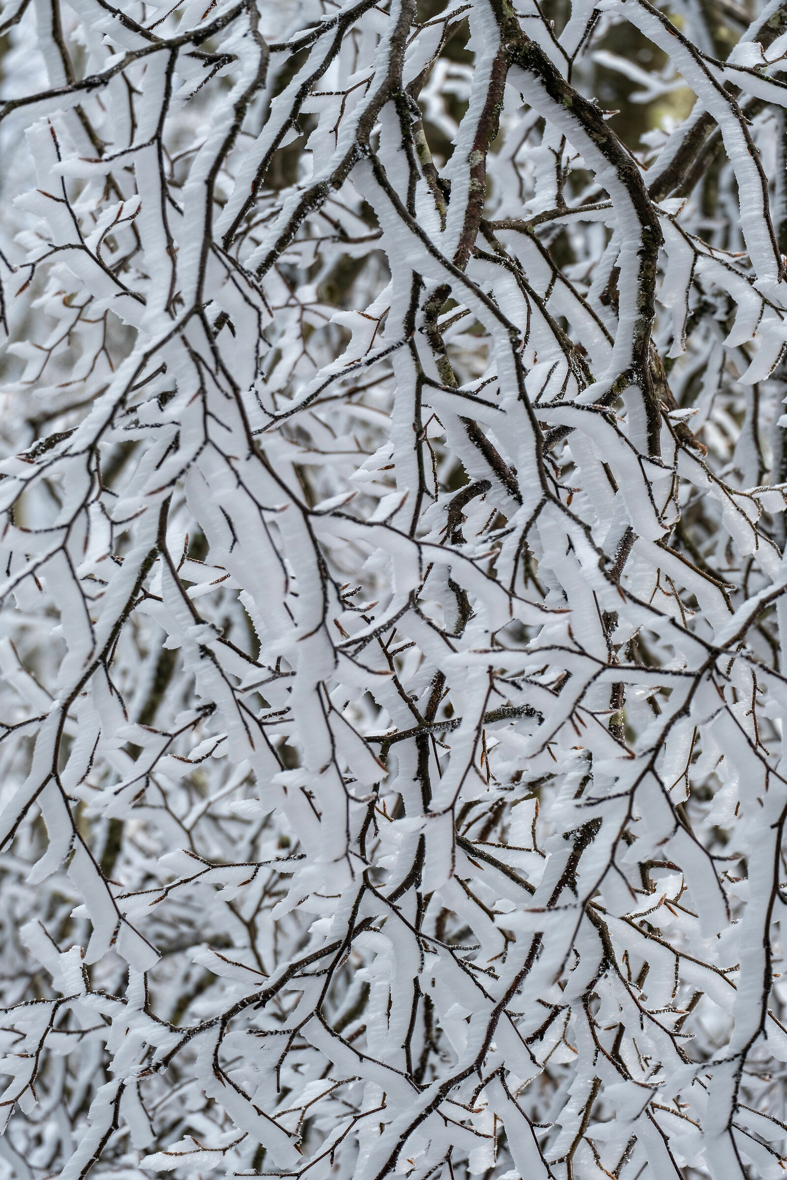 Glacial geometries