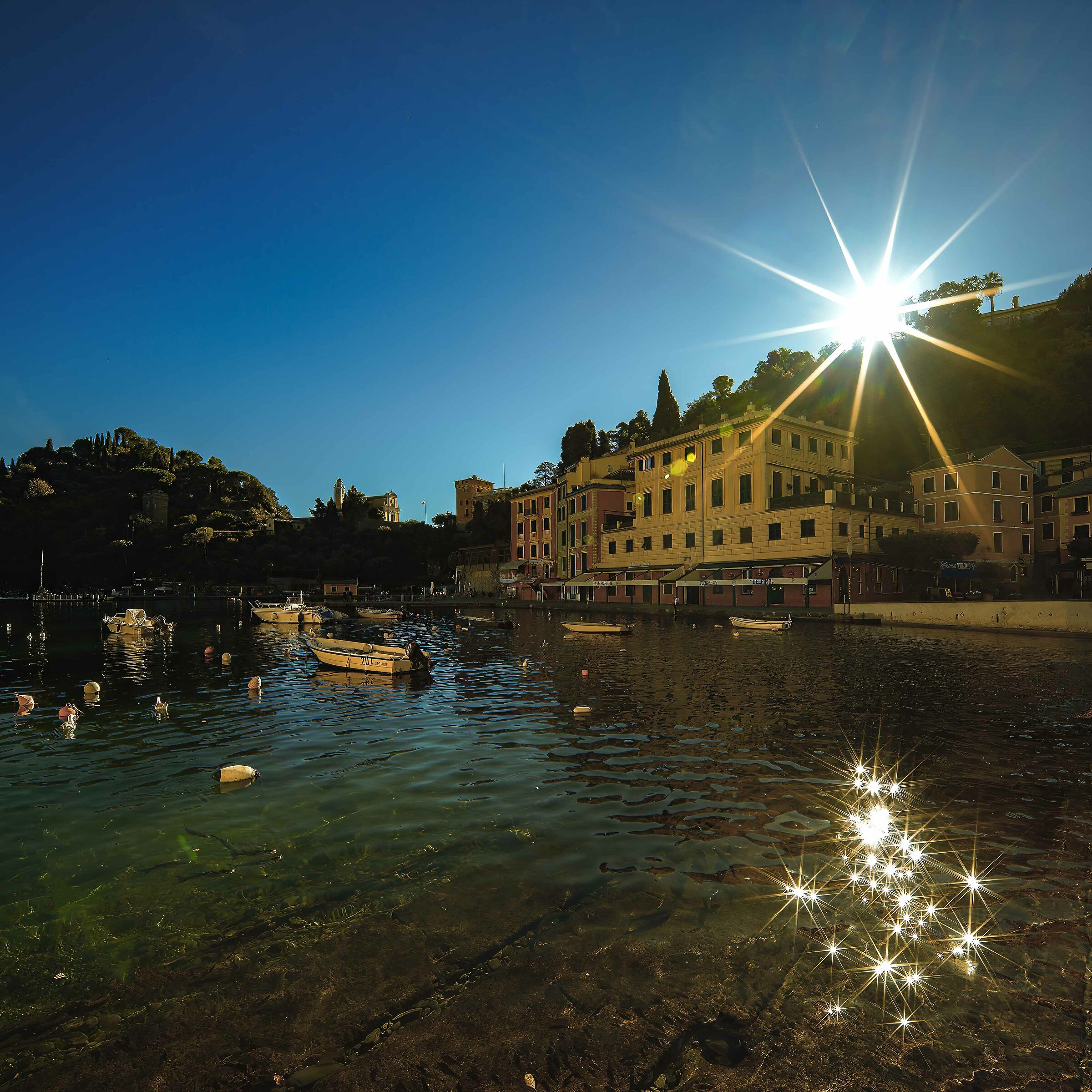Magica Portofino