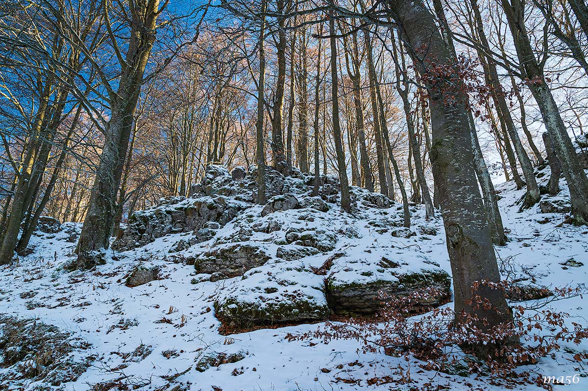 Prima neve ai Parpari (Lessinia)