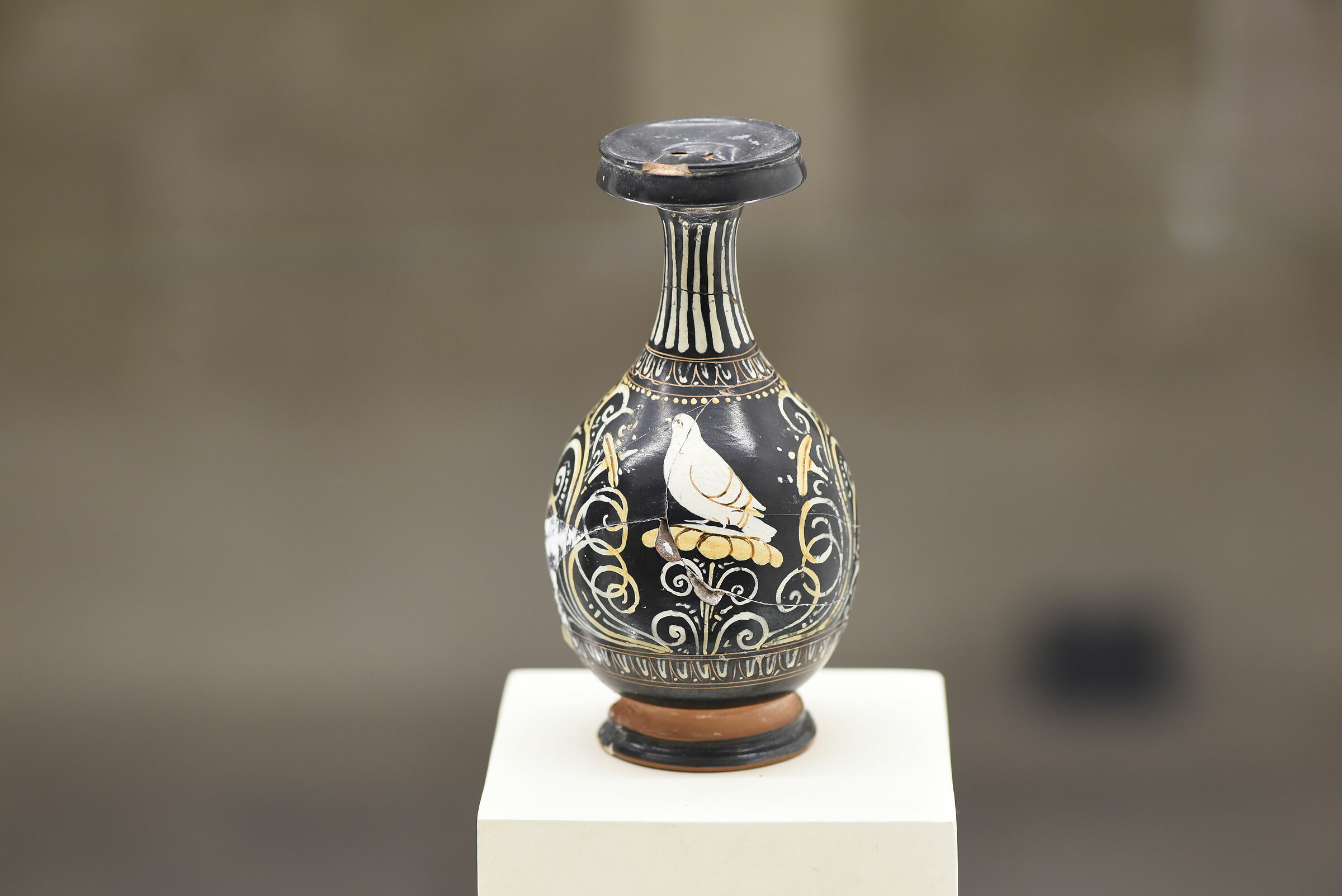 Tokina 100 F. 2.8 Atx-i - Nikon D 750