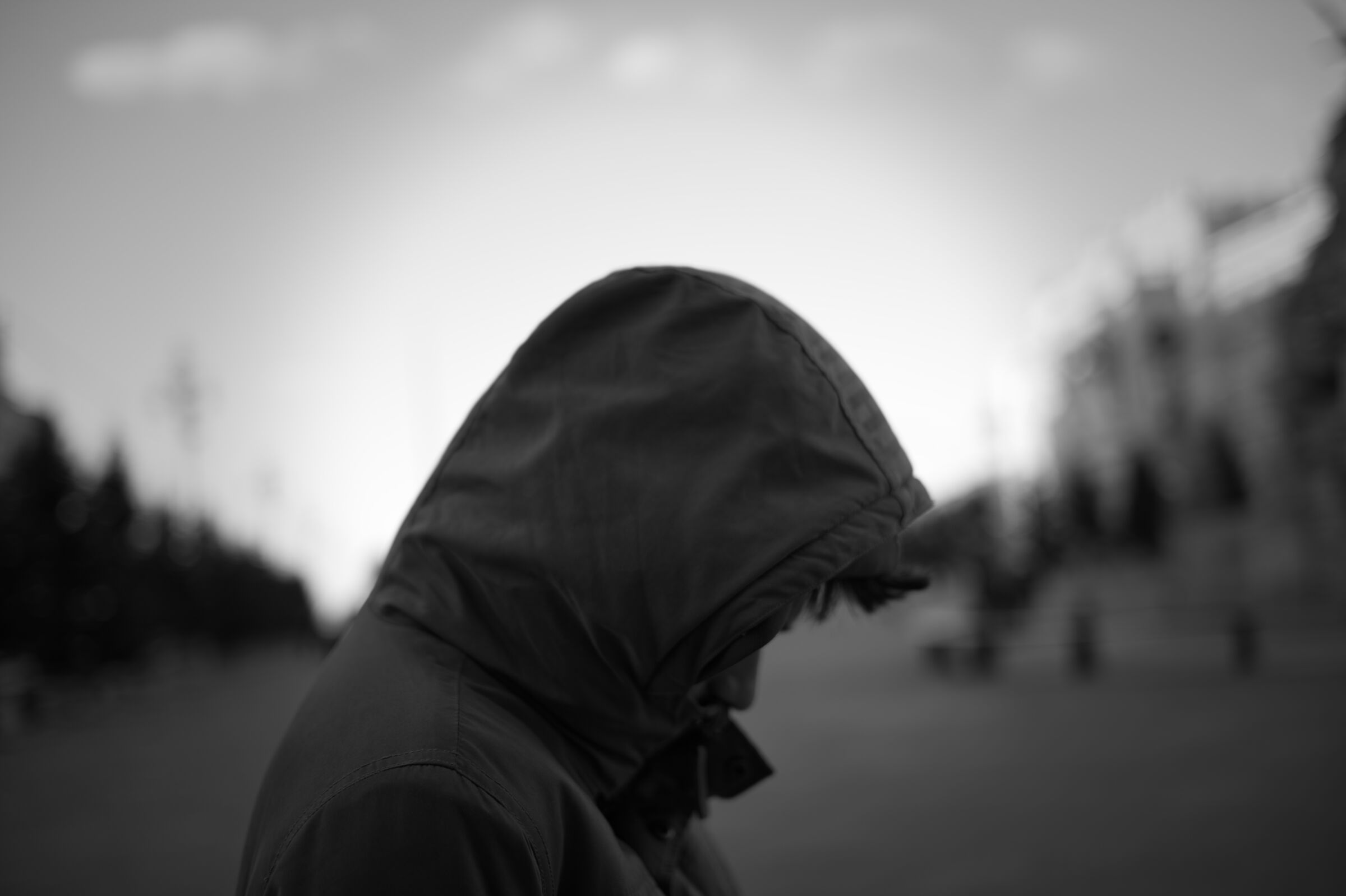 Passeggiate invernali