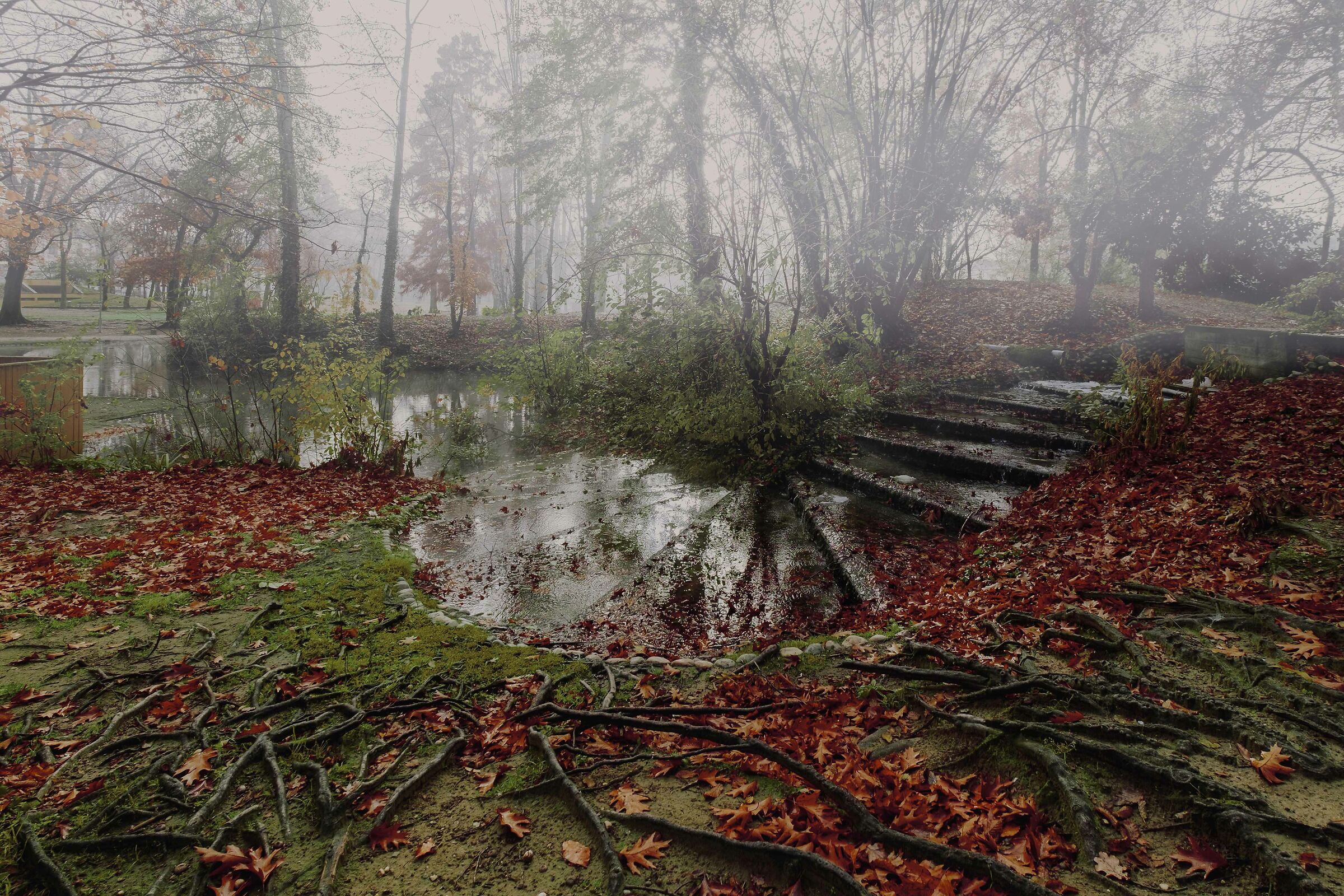 Una giornata uggiosa