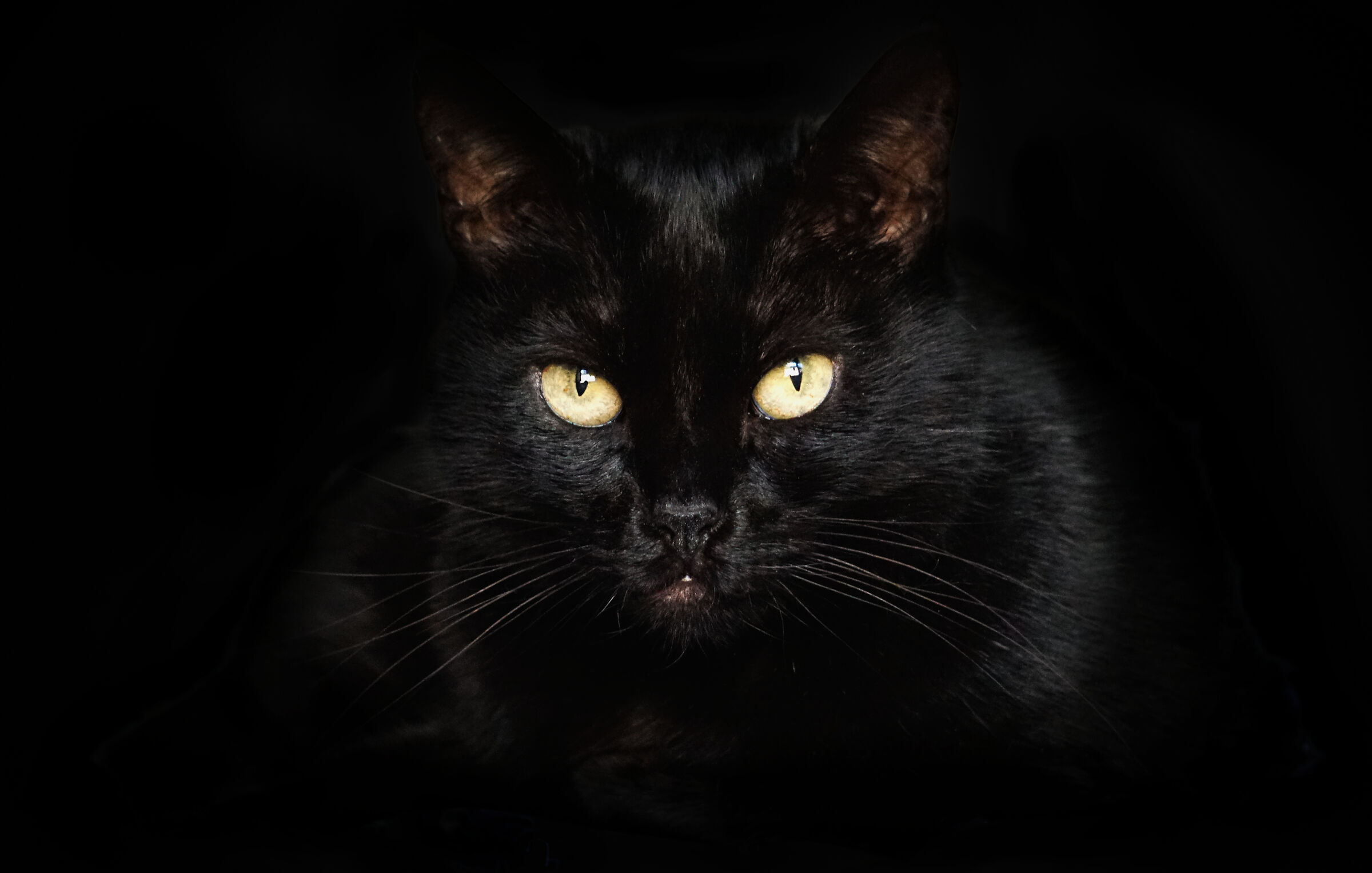 Ci vediamo stanotte alle 4