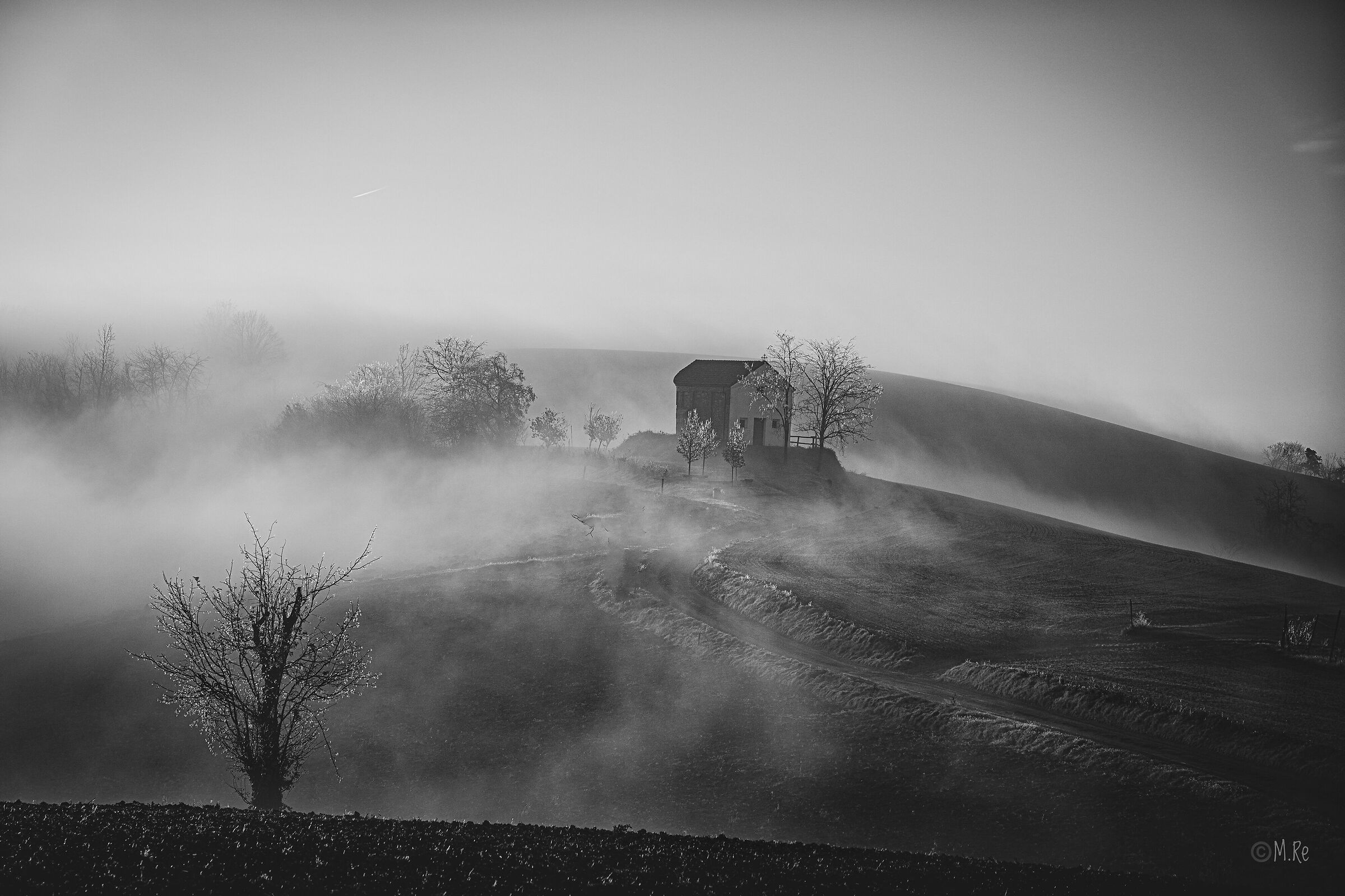 Untitled Photo