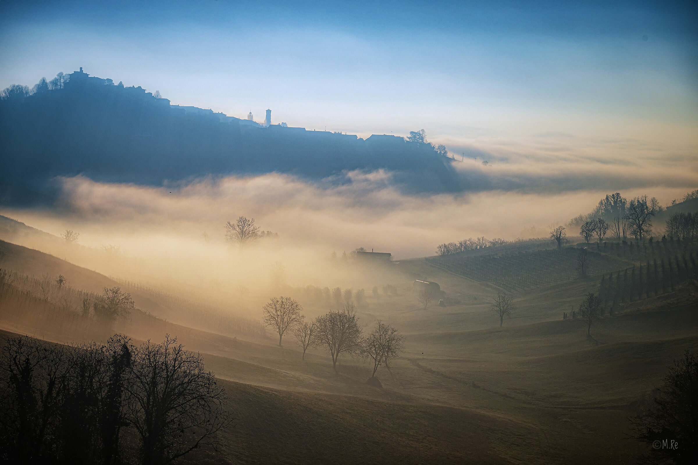 Untitled Photo