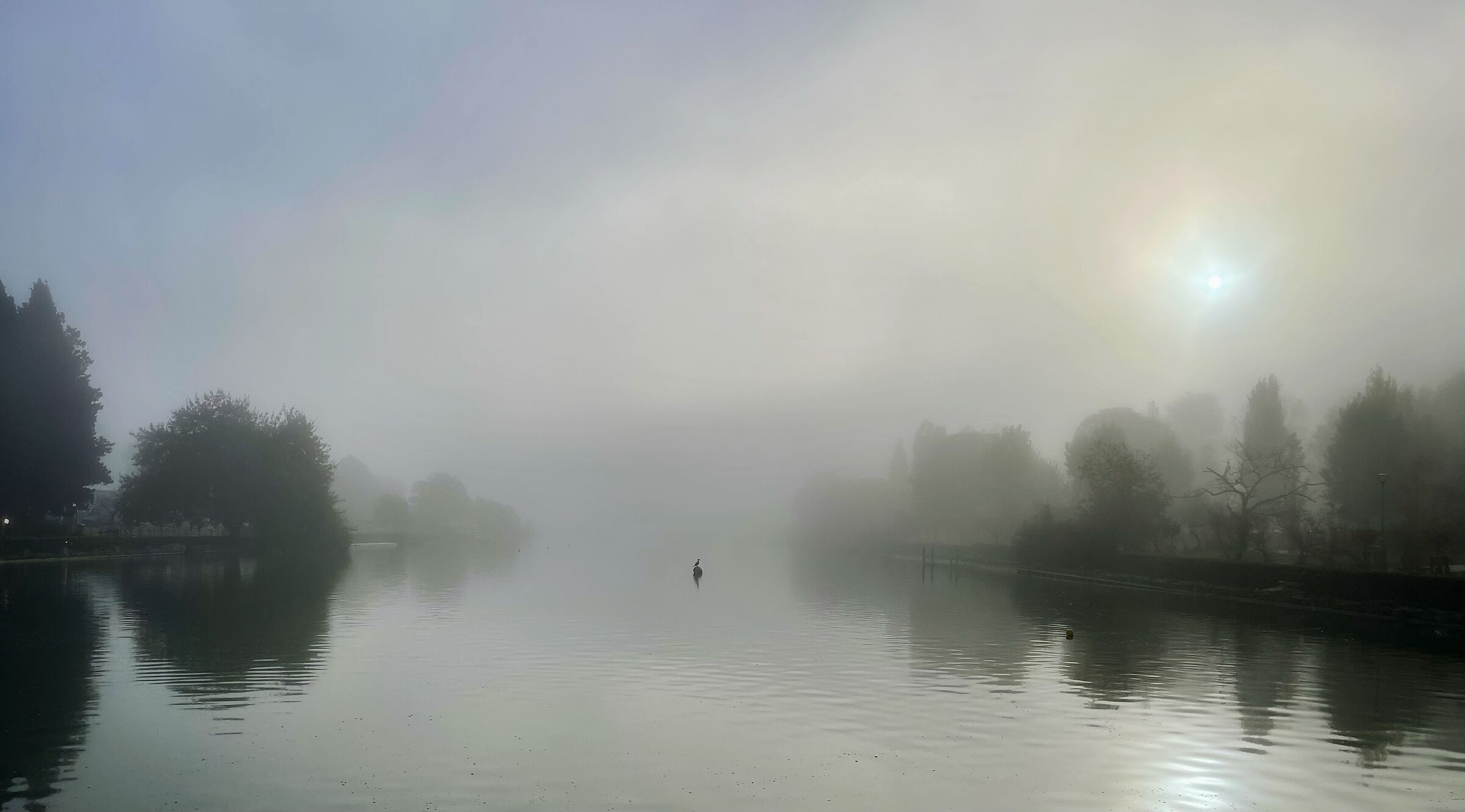 Laghetto nella nebbia