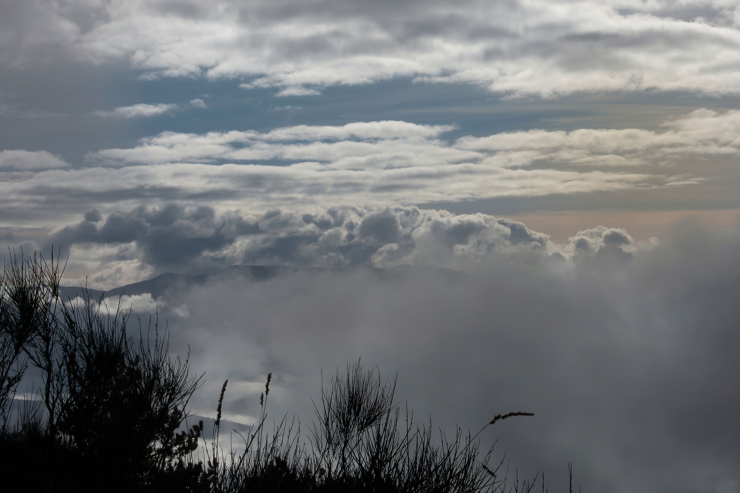 Foggy morning in the mountains