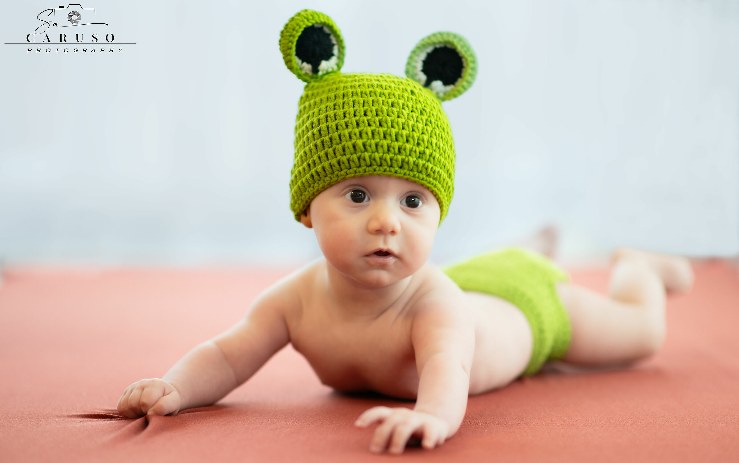 My Little Frog