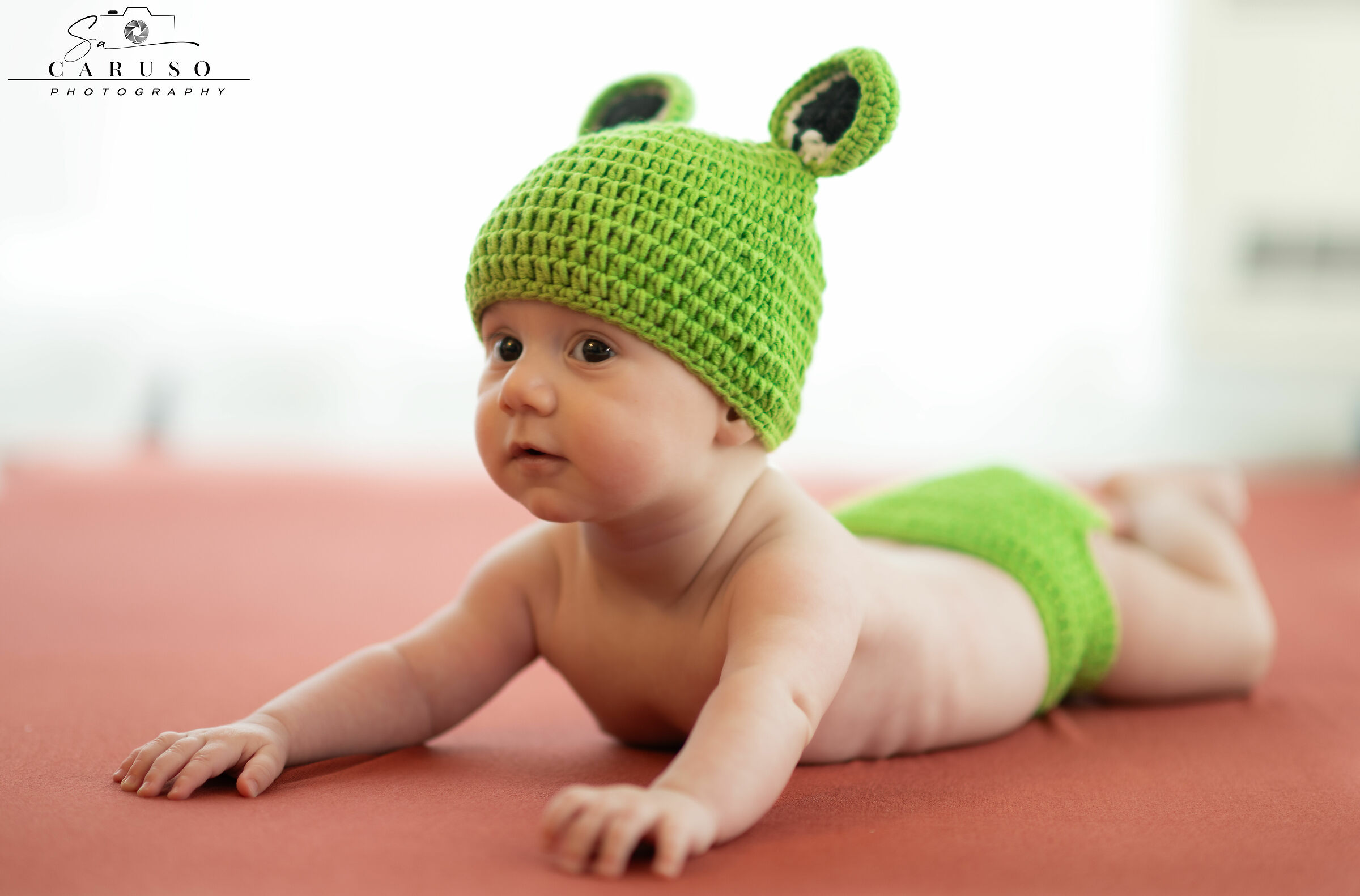 My Frog 2