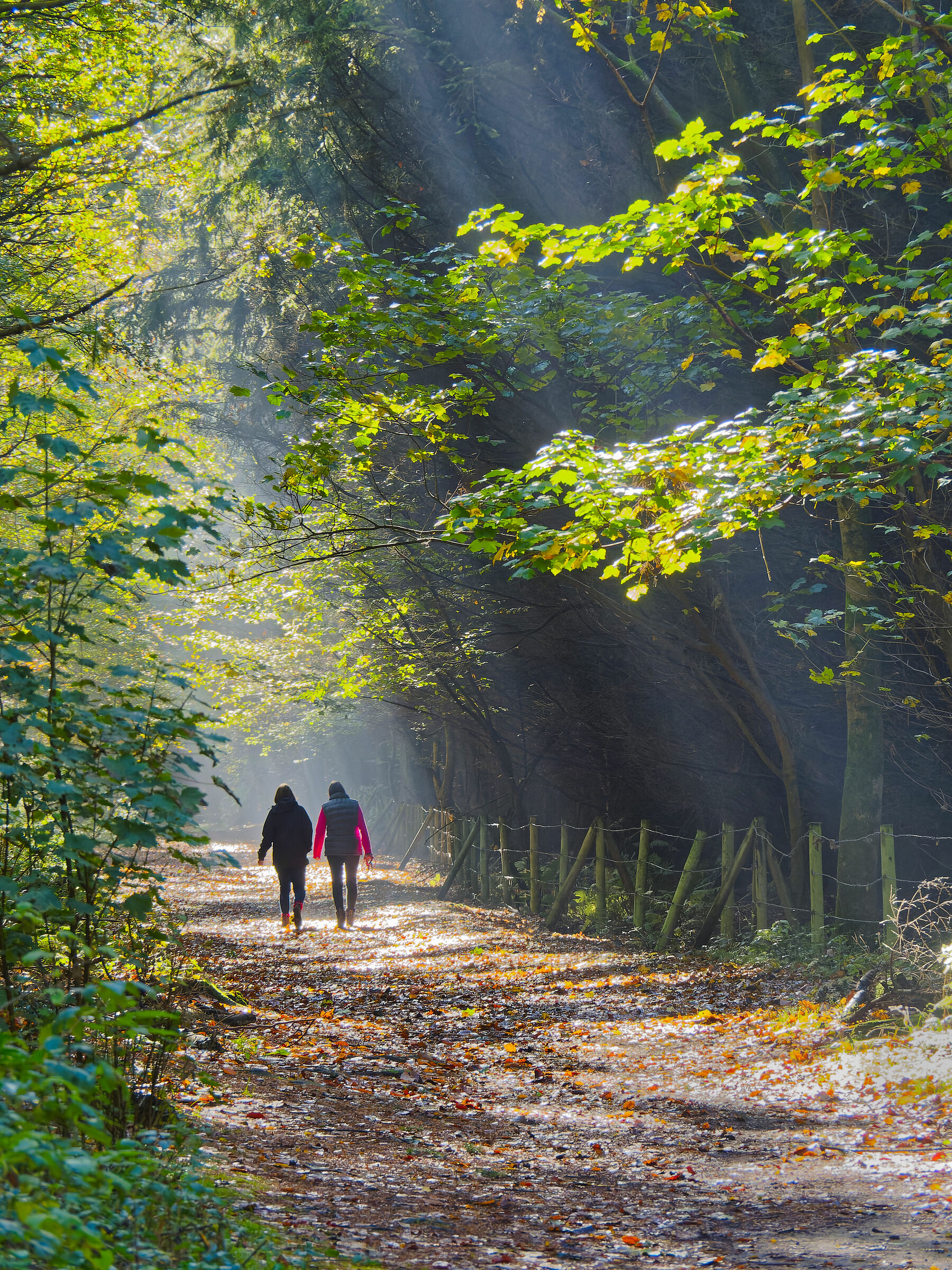 Passeggiata autunnale