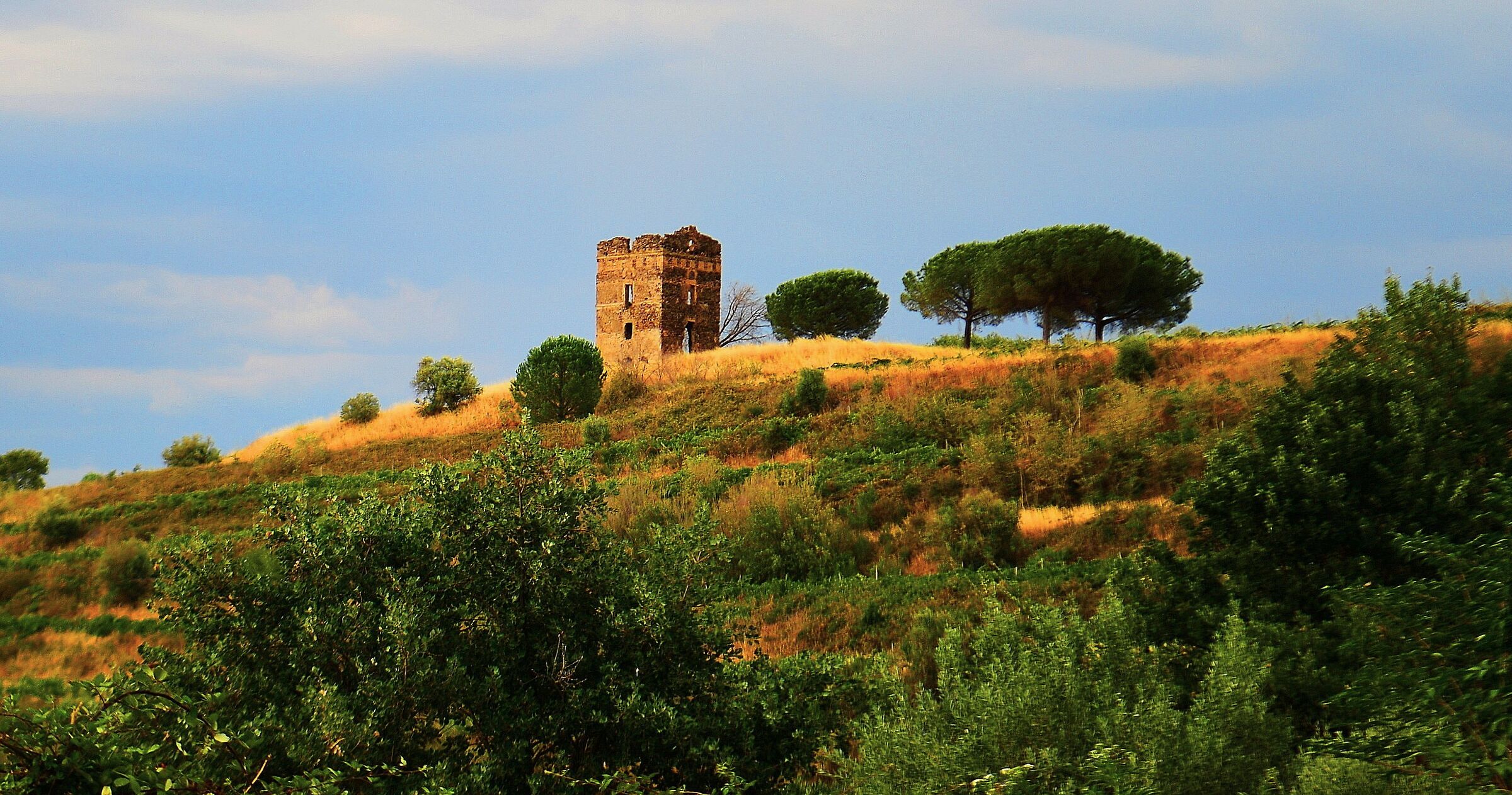 Colonna Campaign (Rome)