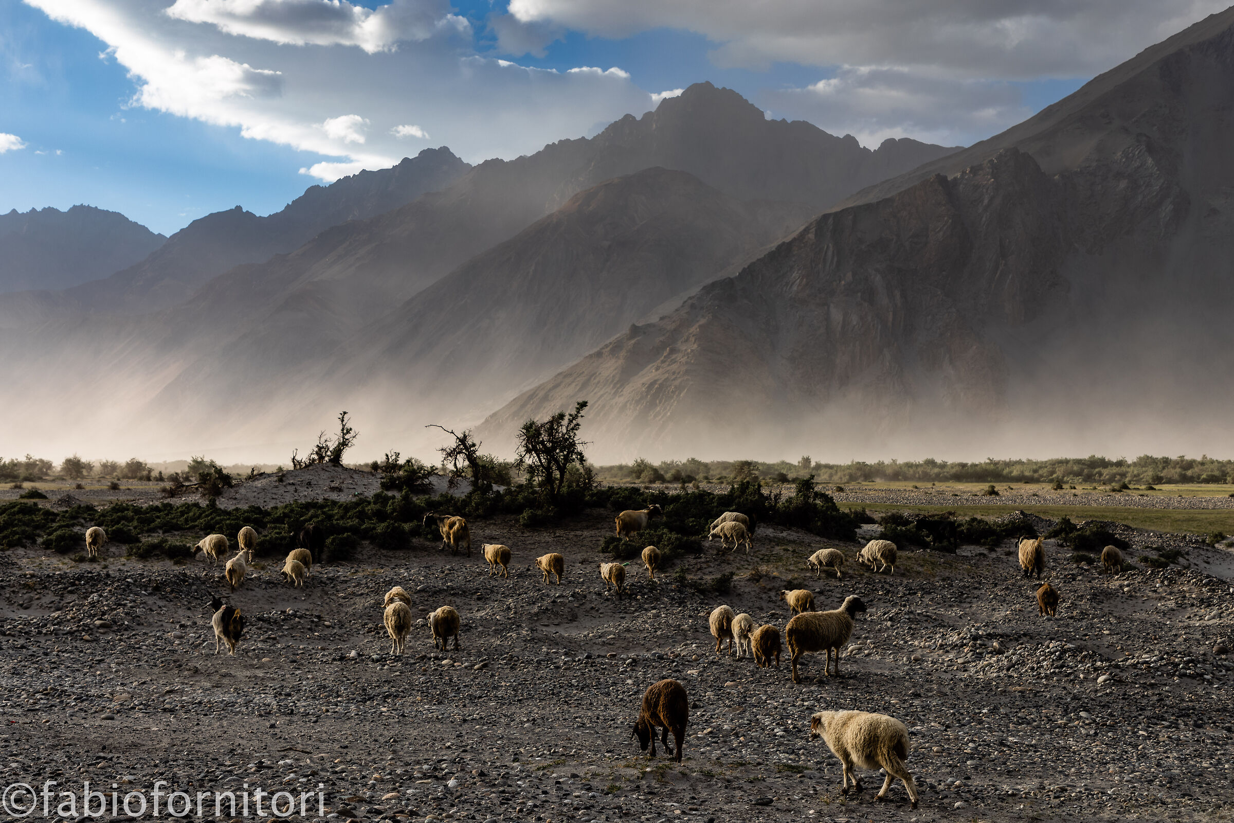 Nubra valley , Hunder 1, Ladakh, India 2023