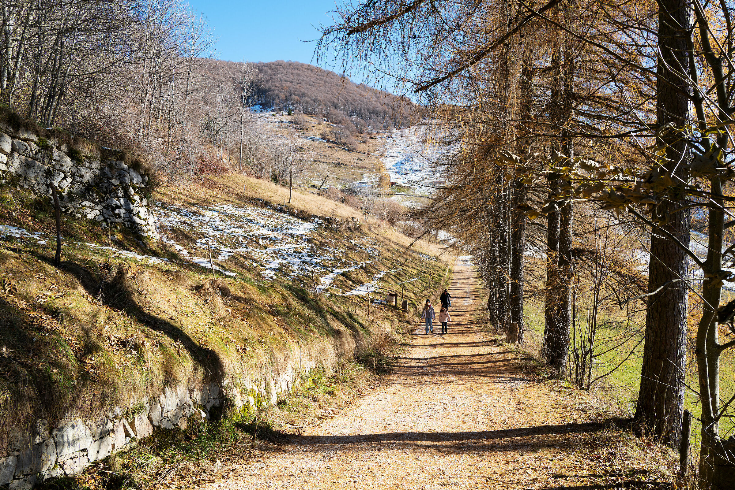 Alla ricerca della prima neve