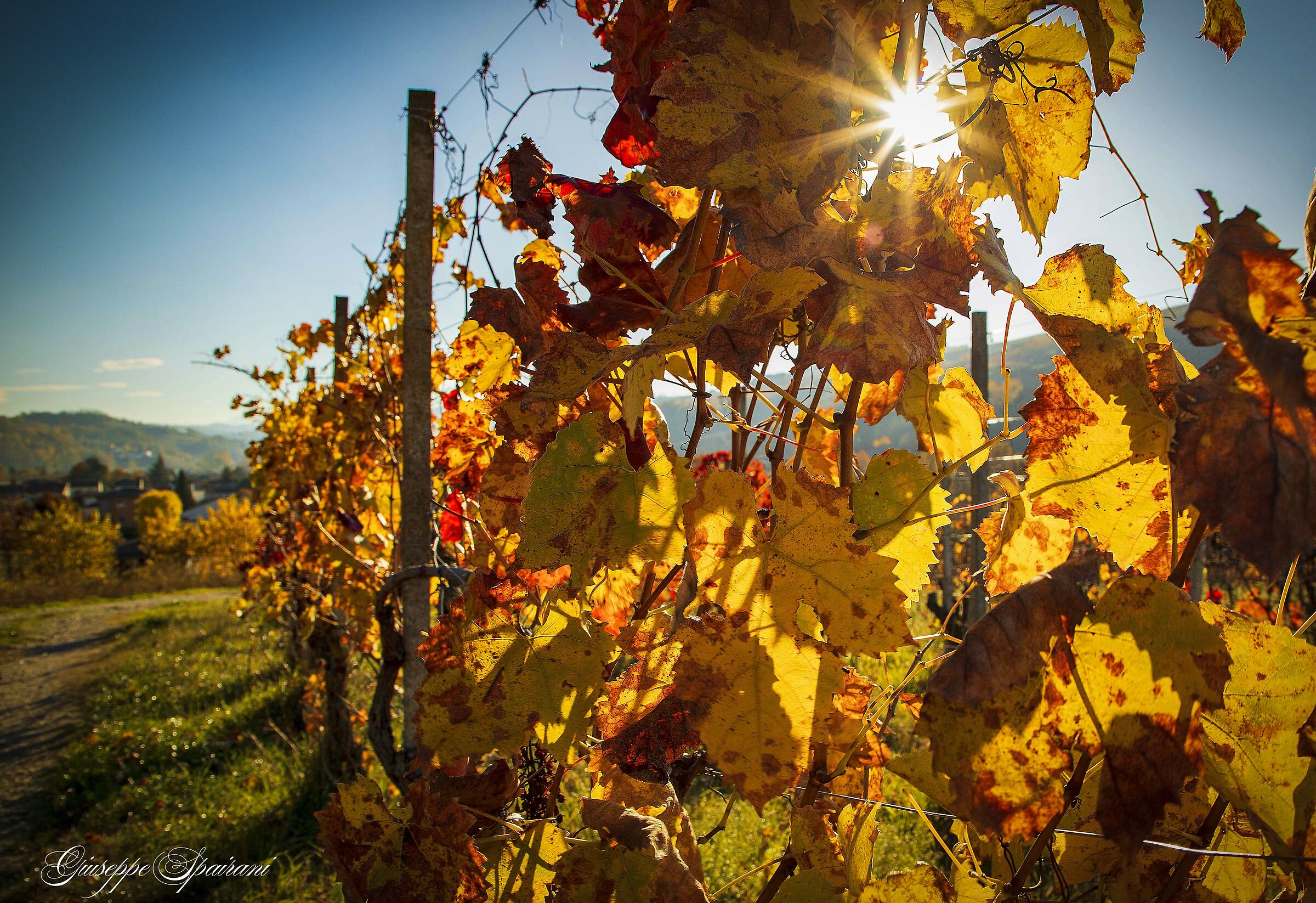 particolari  oltrepadani