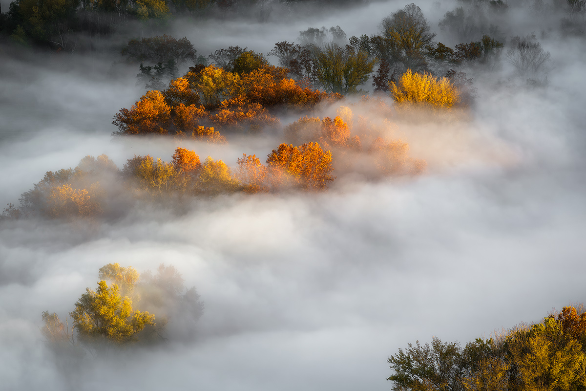 Puff..fiori Autunnali