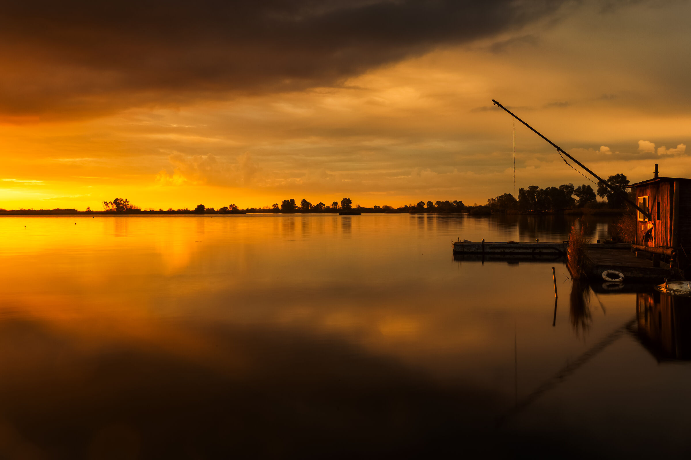 "Hearts of Gold"