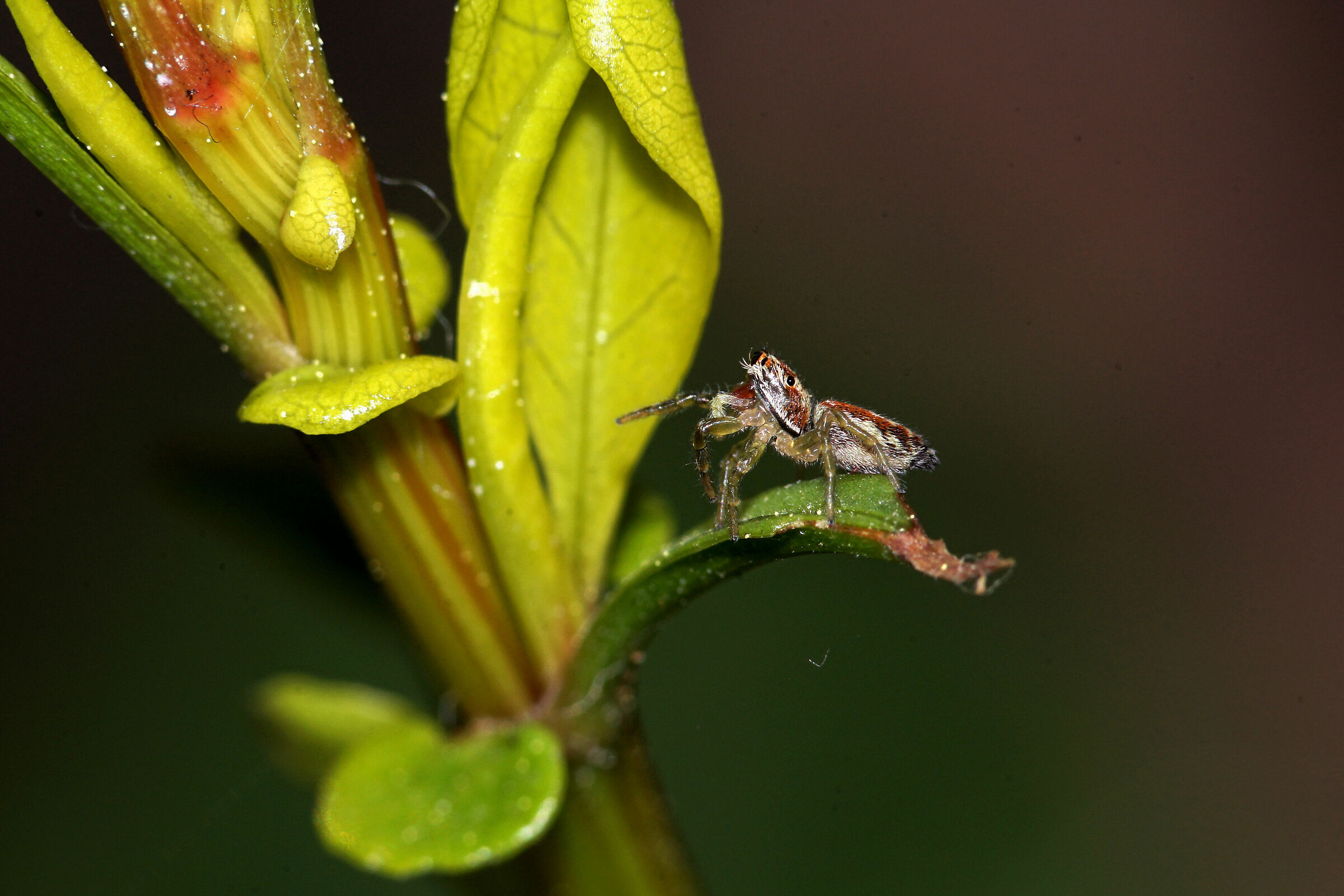 Take measurements before you take a leap