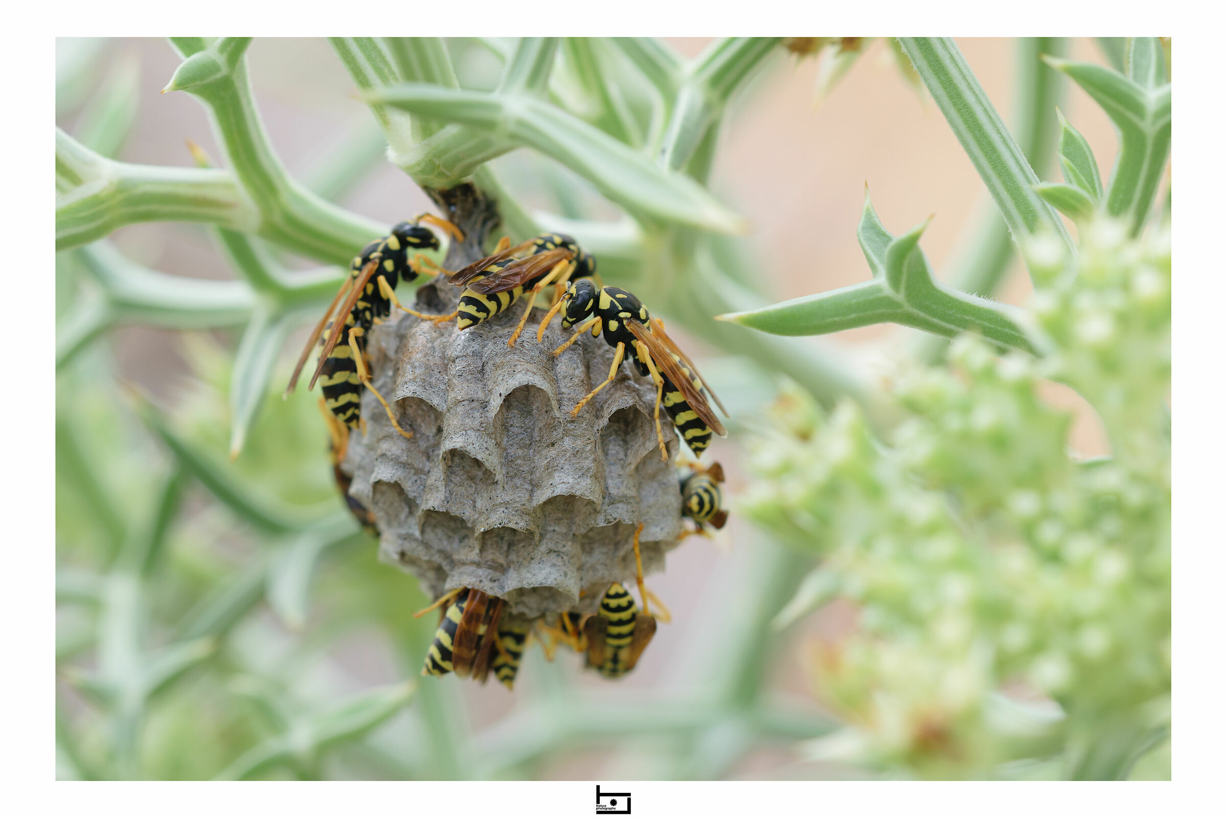 Working by the beach