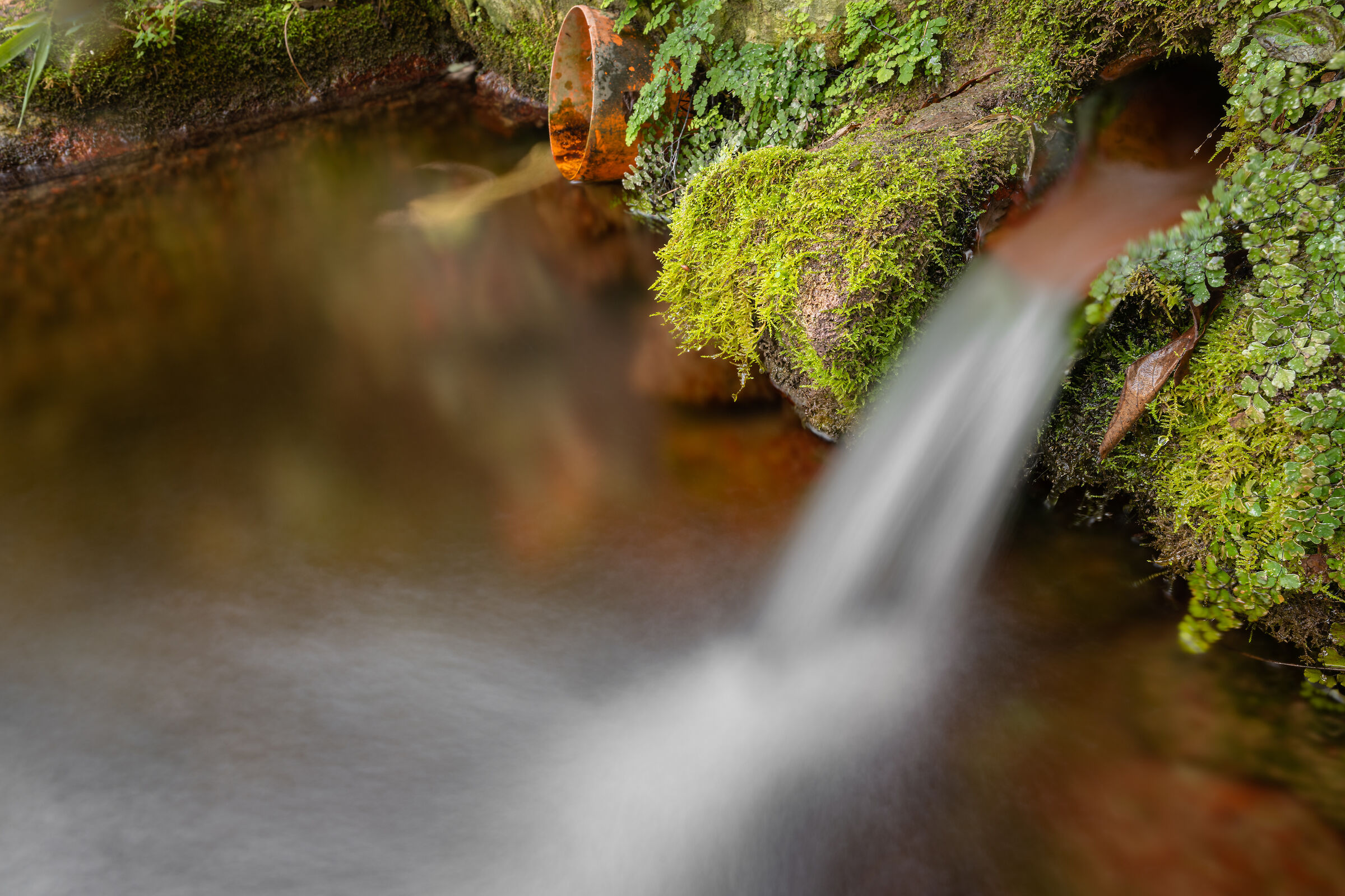 Fountain near the house