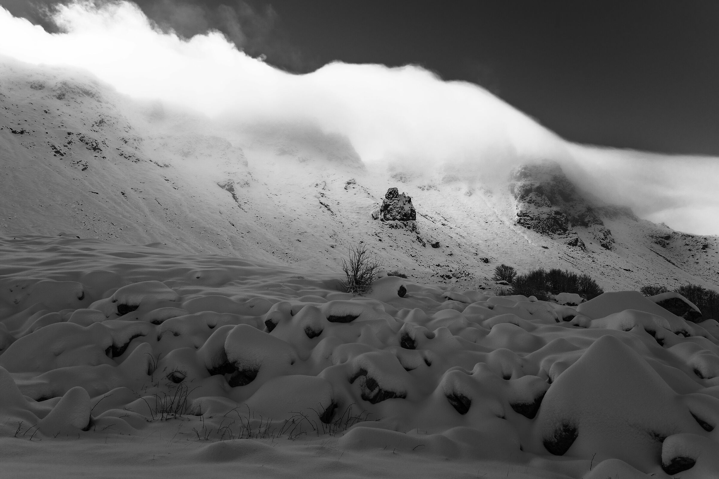 ...la neve bianca tutto copre...