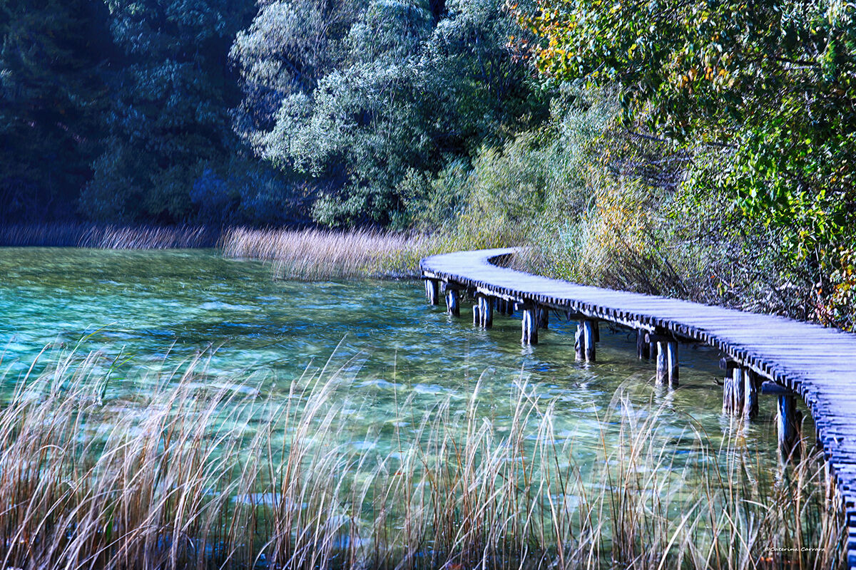 La natura dipinge per noi.