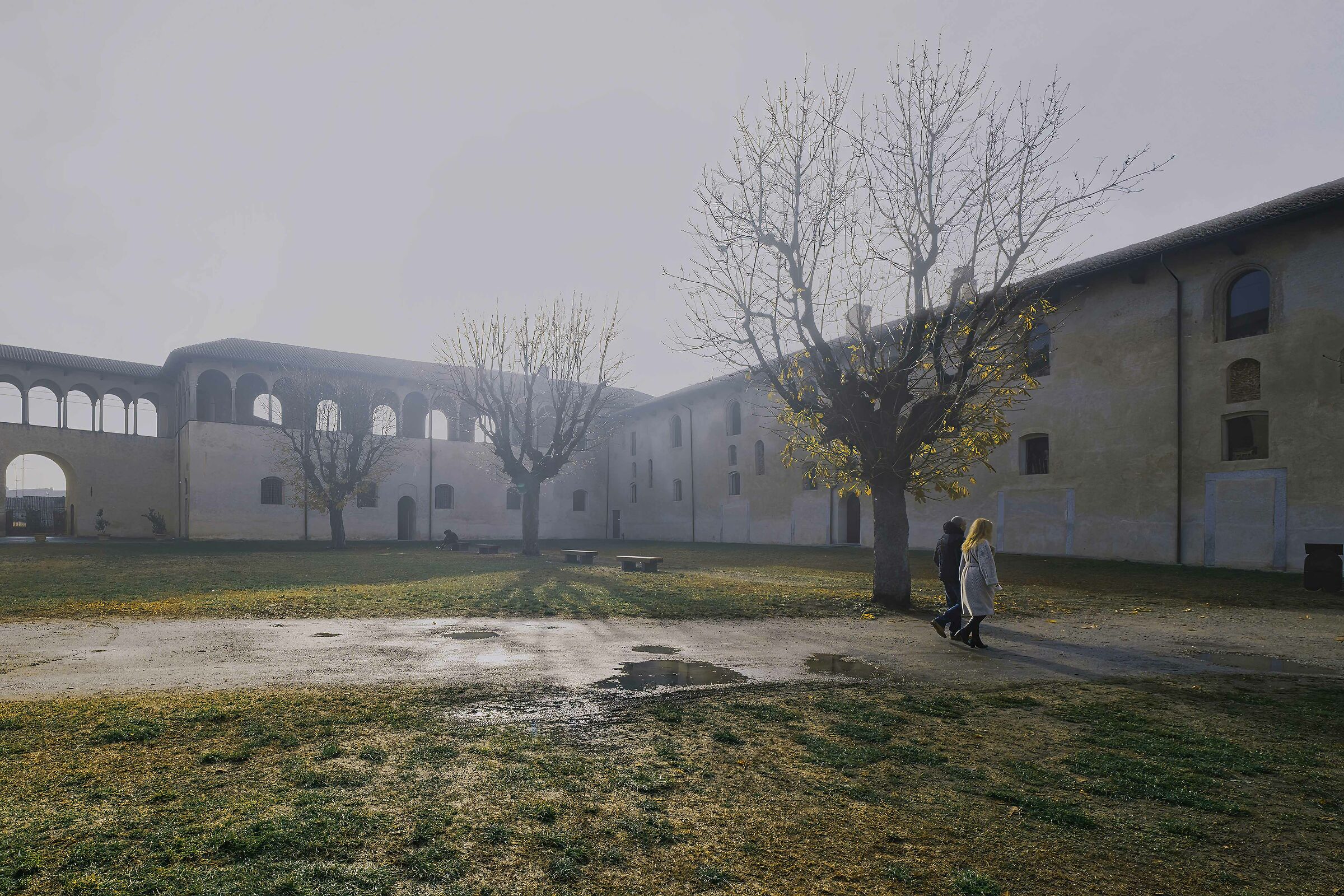 Nebbia nel castello