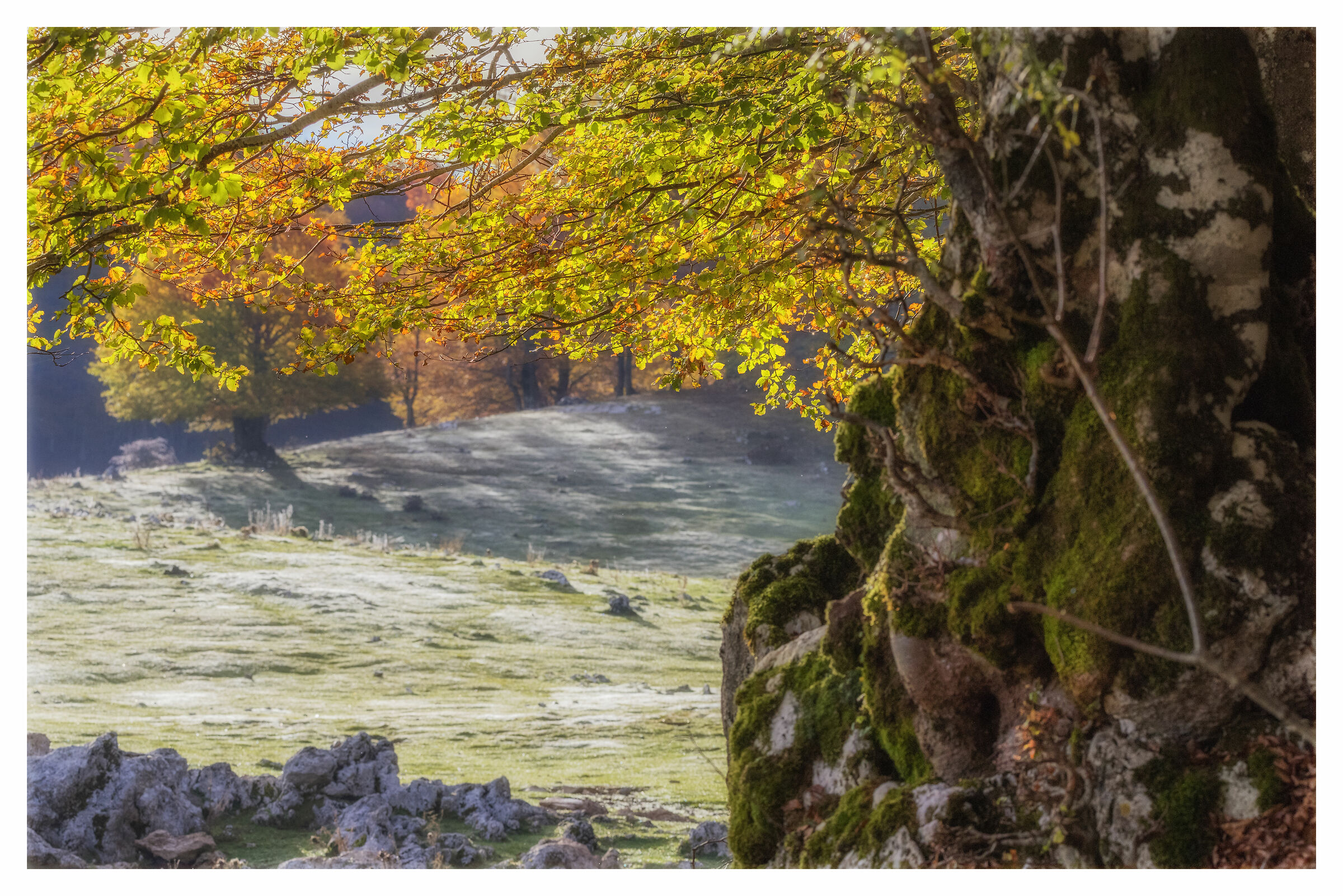 Colori con nevischio