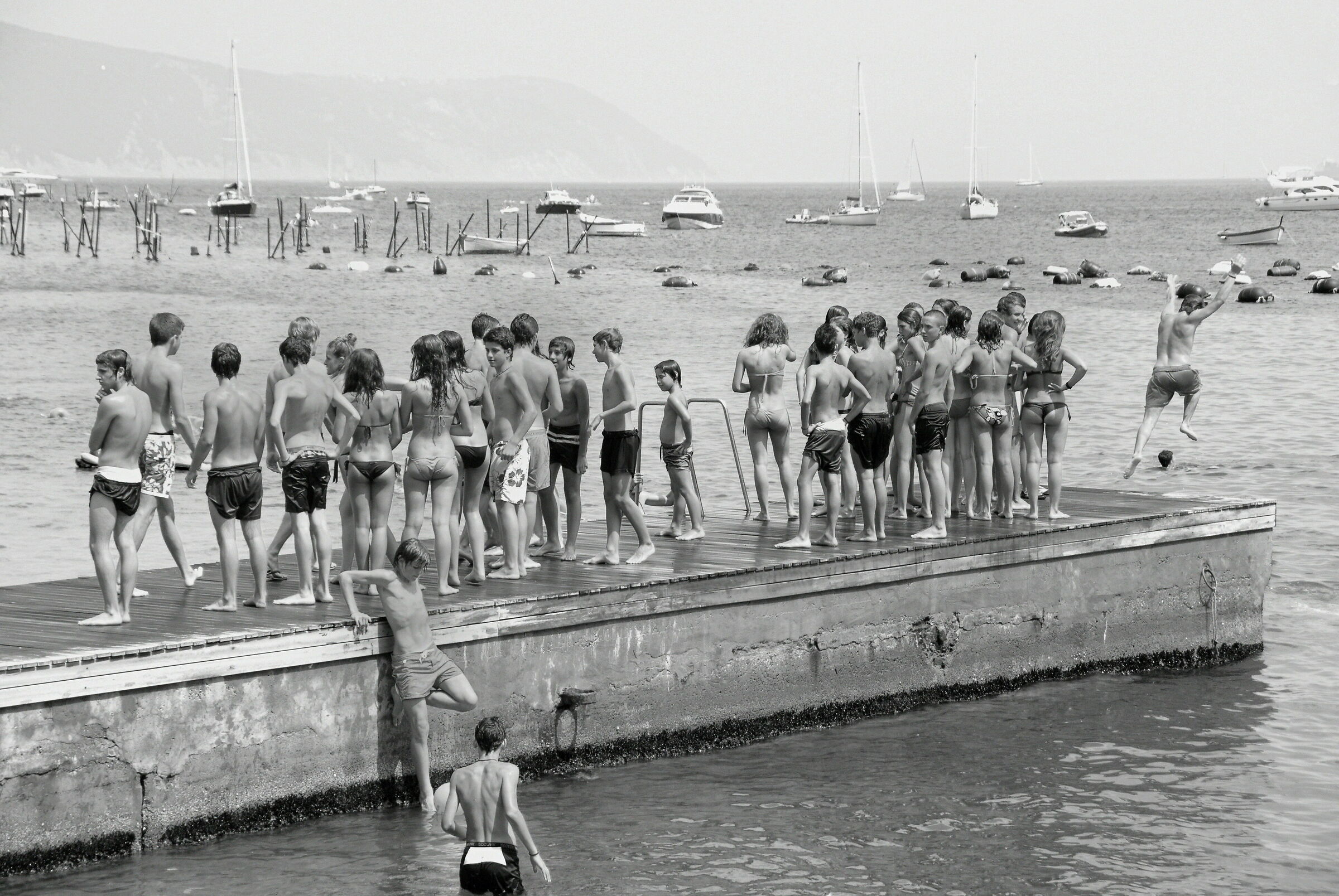 Analog colonies or digital chats, which are the best?