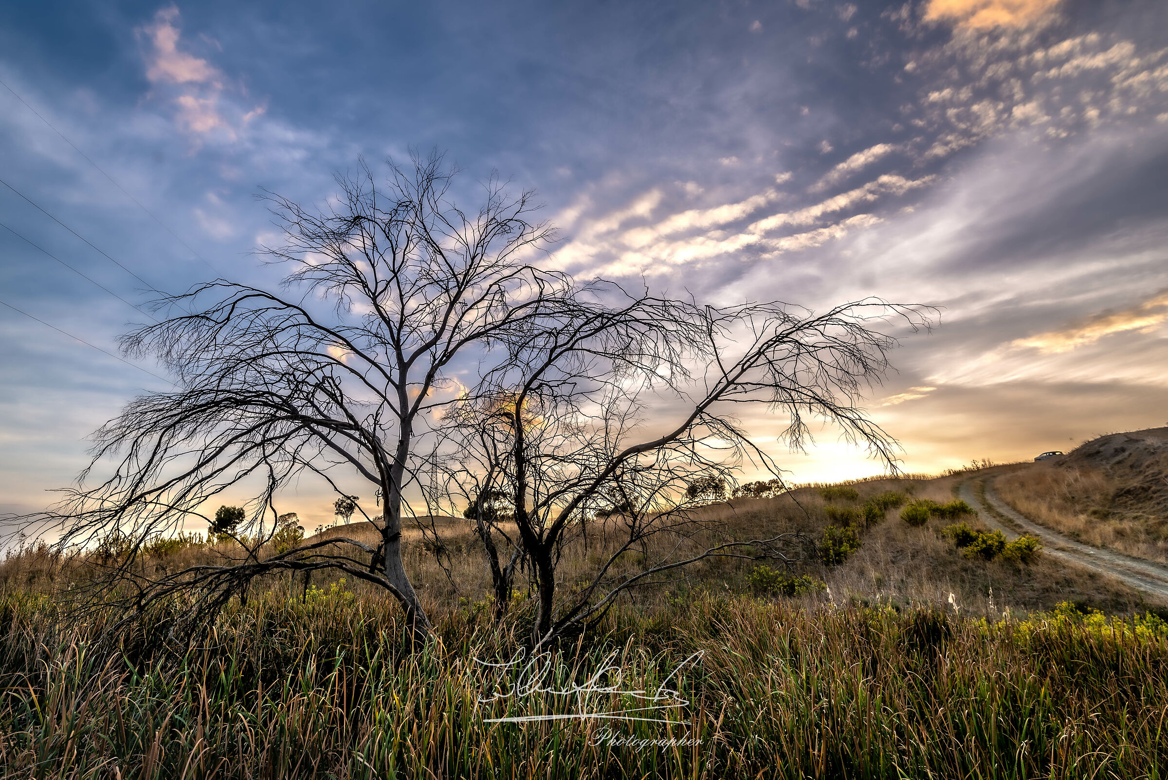 Still Life at Sunset 2023