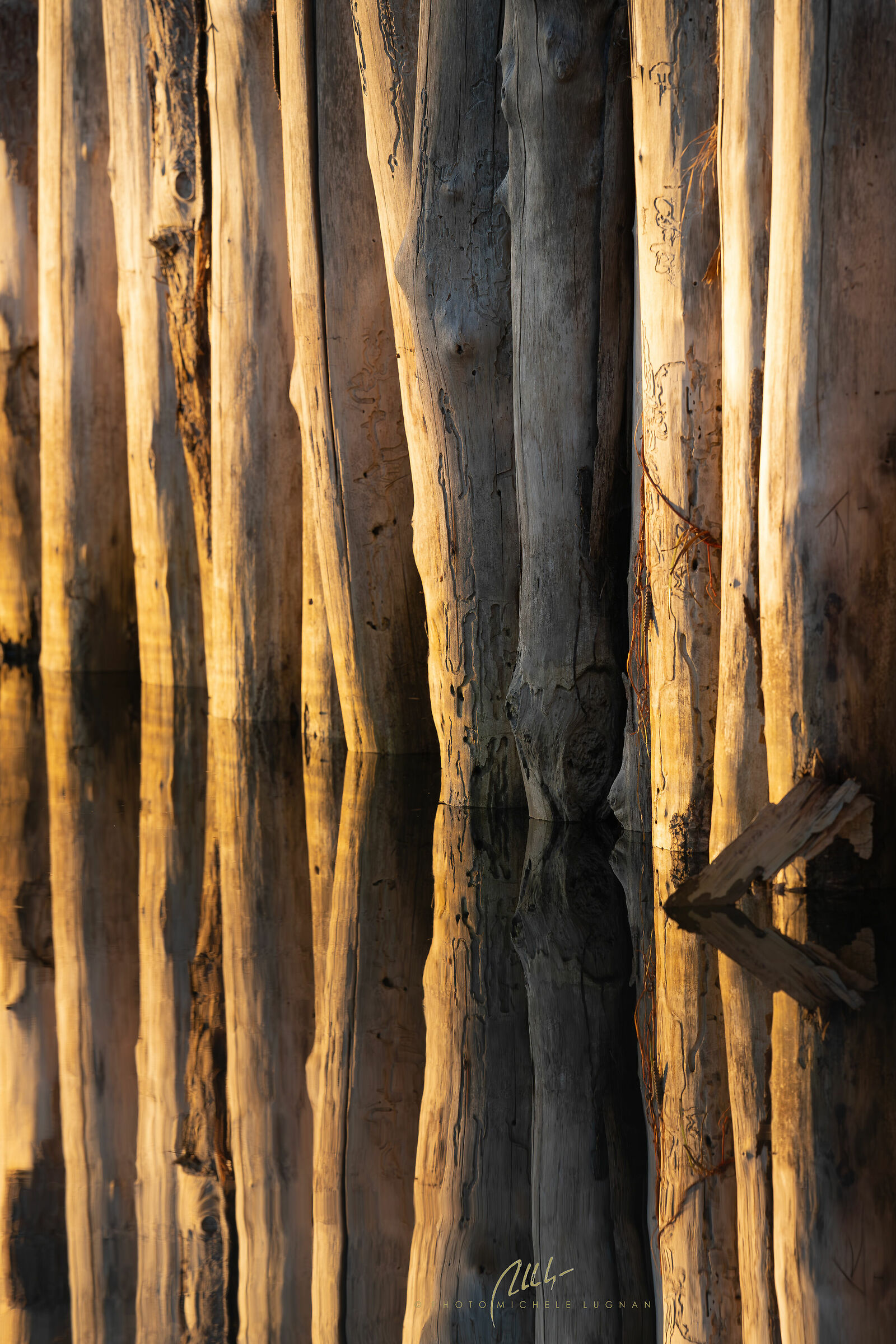 "The water rotted the poles" (a well-known saying from Grado...