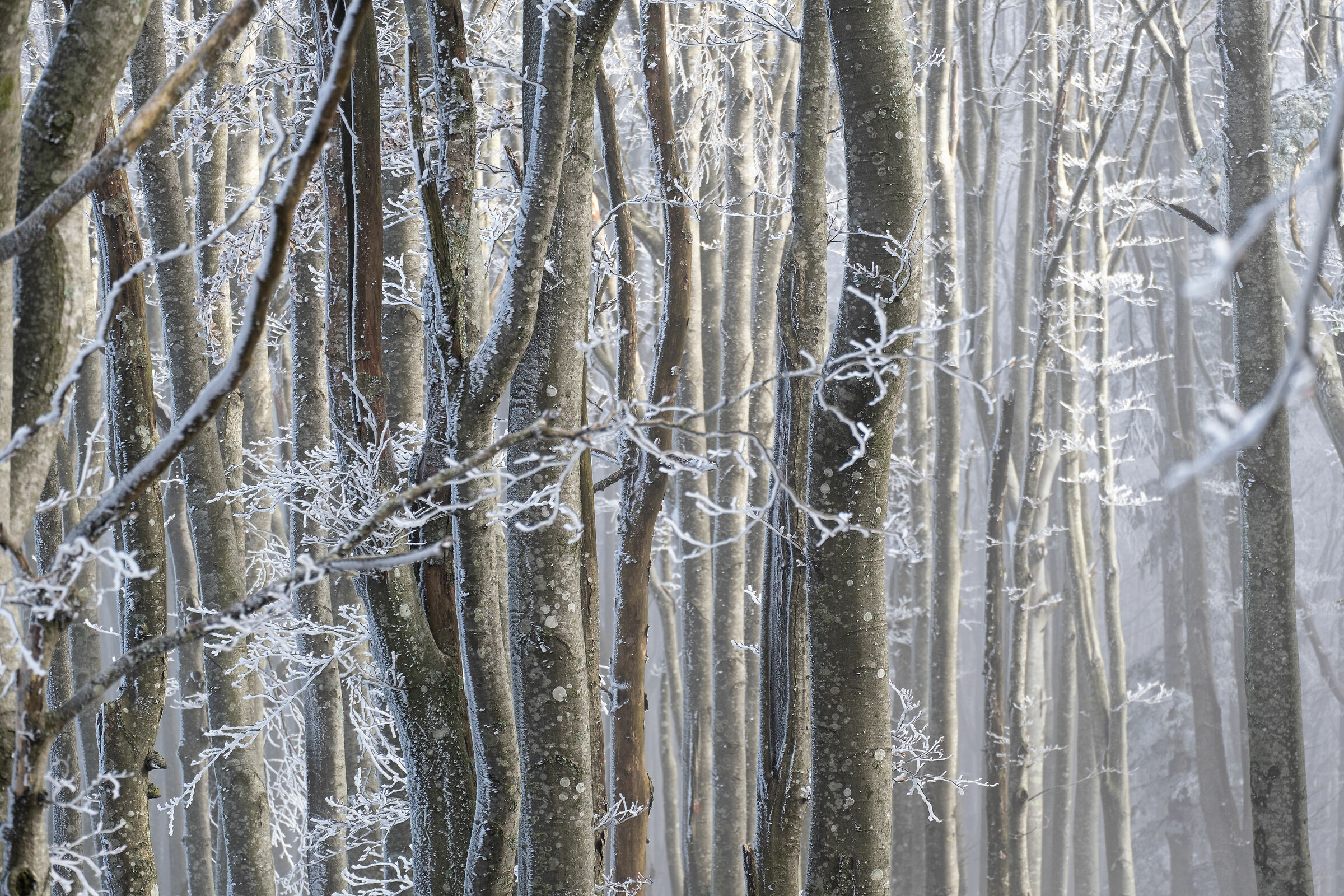 Cold atmospheres . . .
