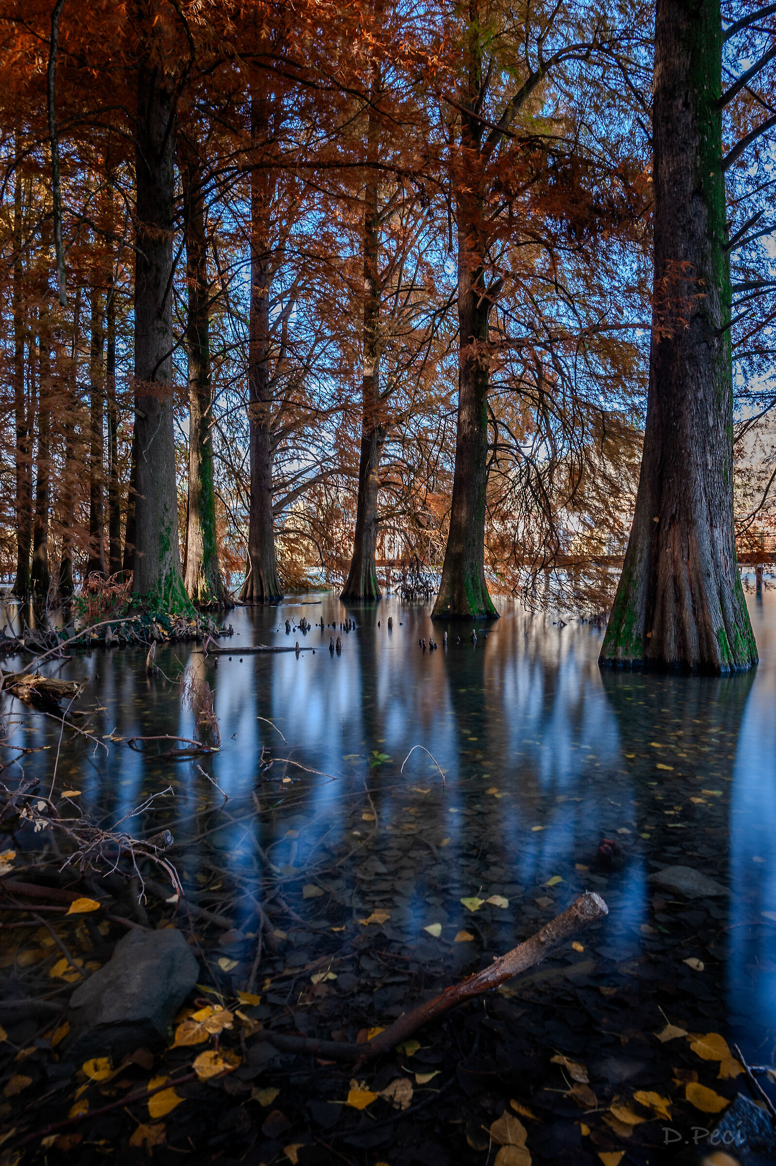 The colours of autumn