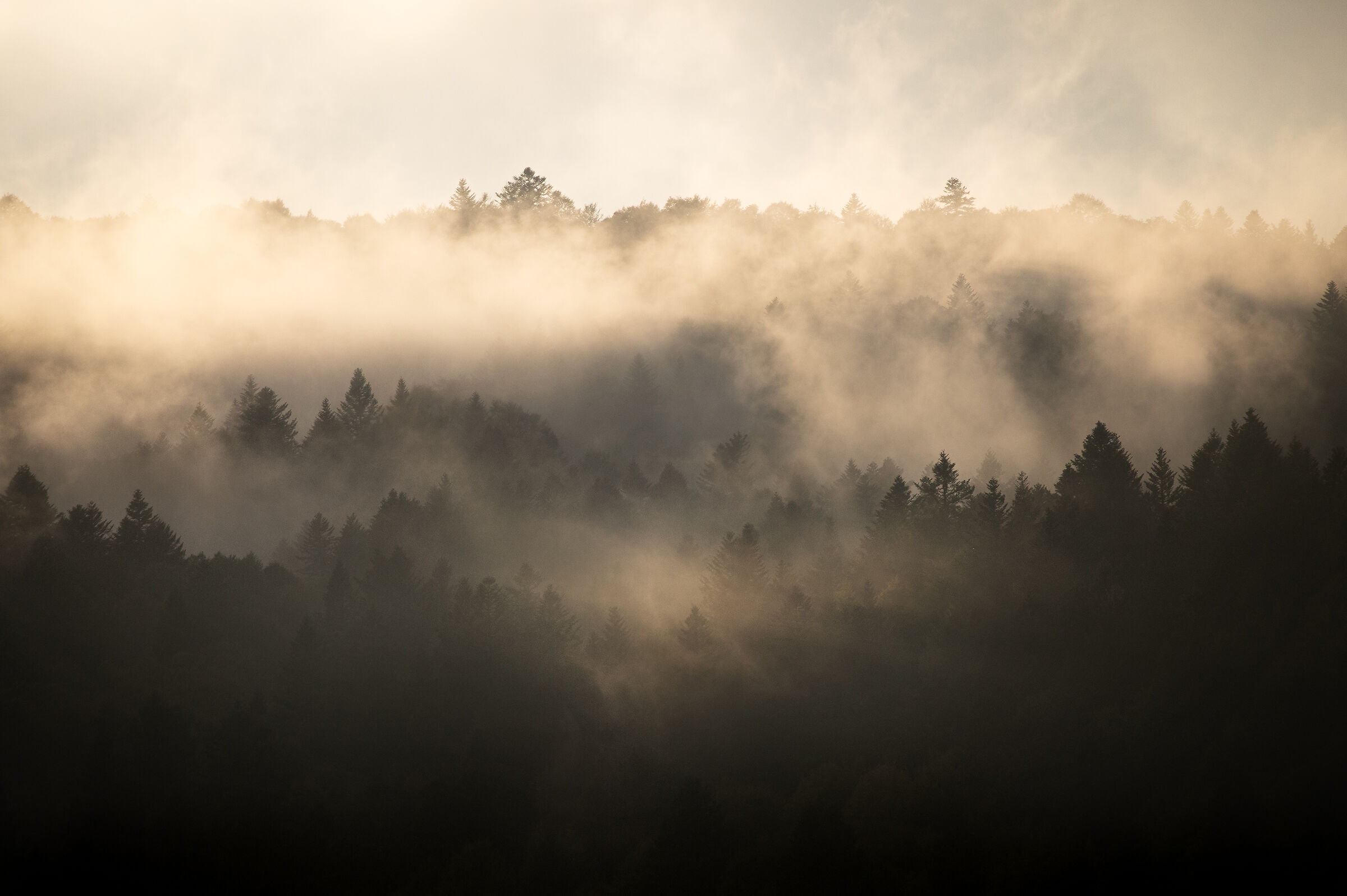 (Quale) giornata internazionale della montagna?