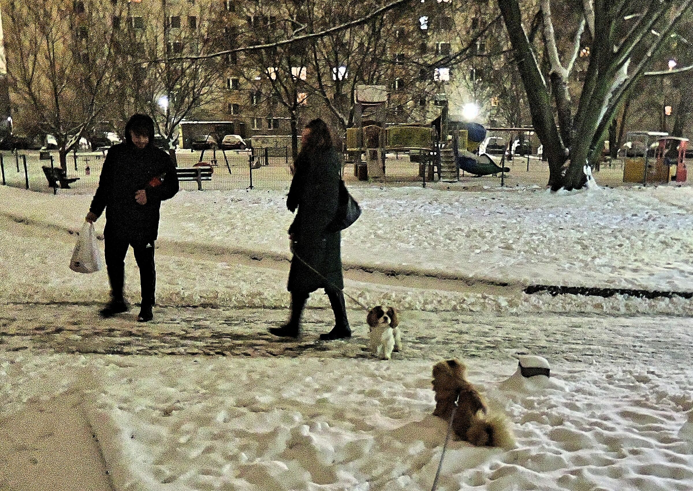 December, winter is coming?/Warsaw