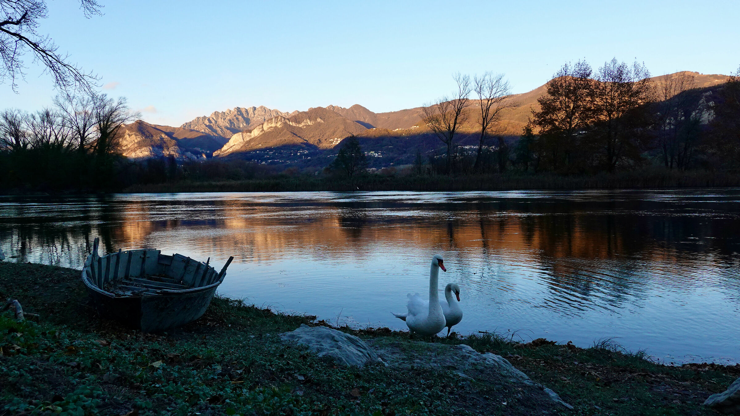 Autumn sunset on the Adda with a pair of swans