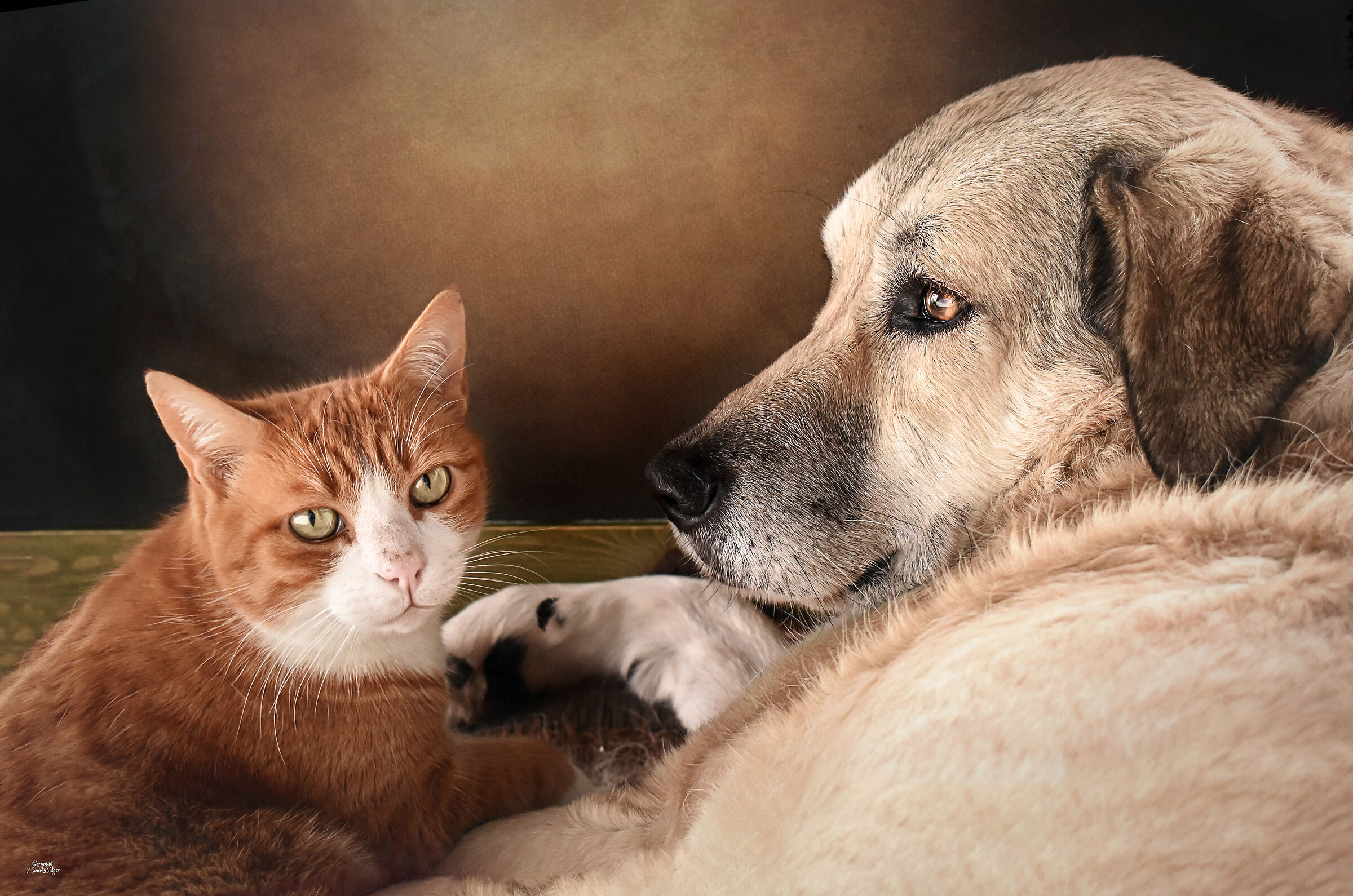 Friends for the skin