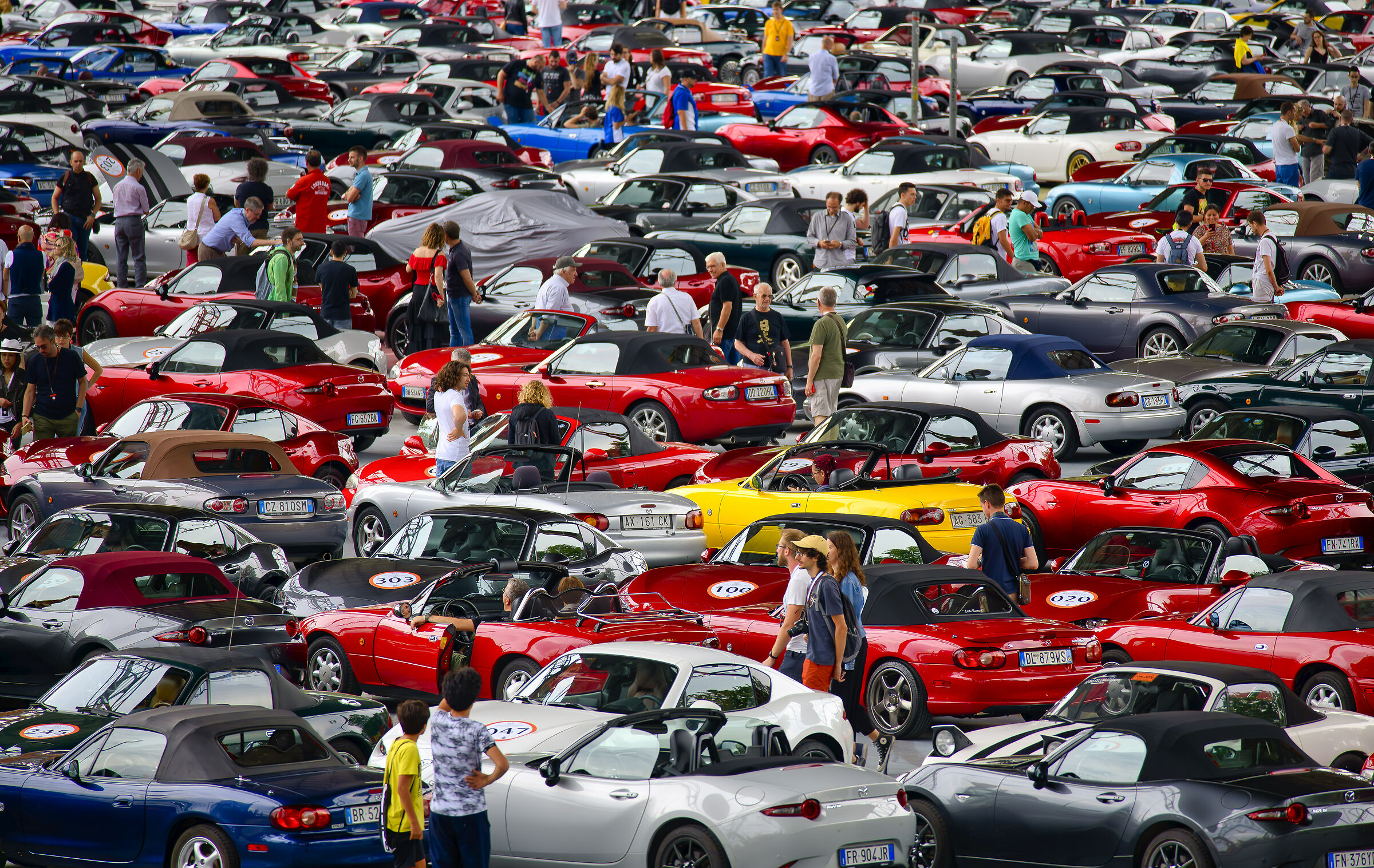 Mazda Car Rally