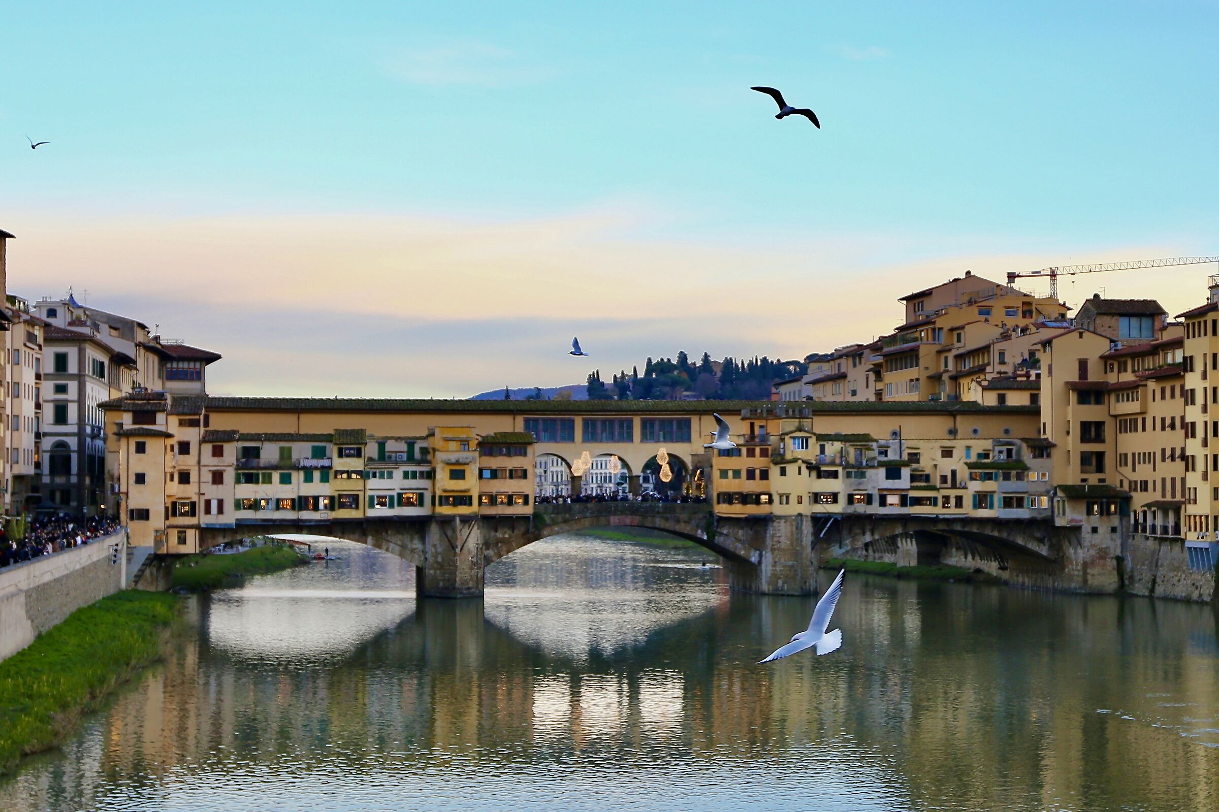 PONTE VECCHIO - FLORENCE NOW BLUE