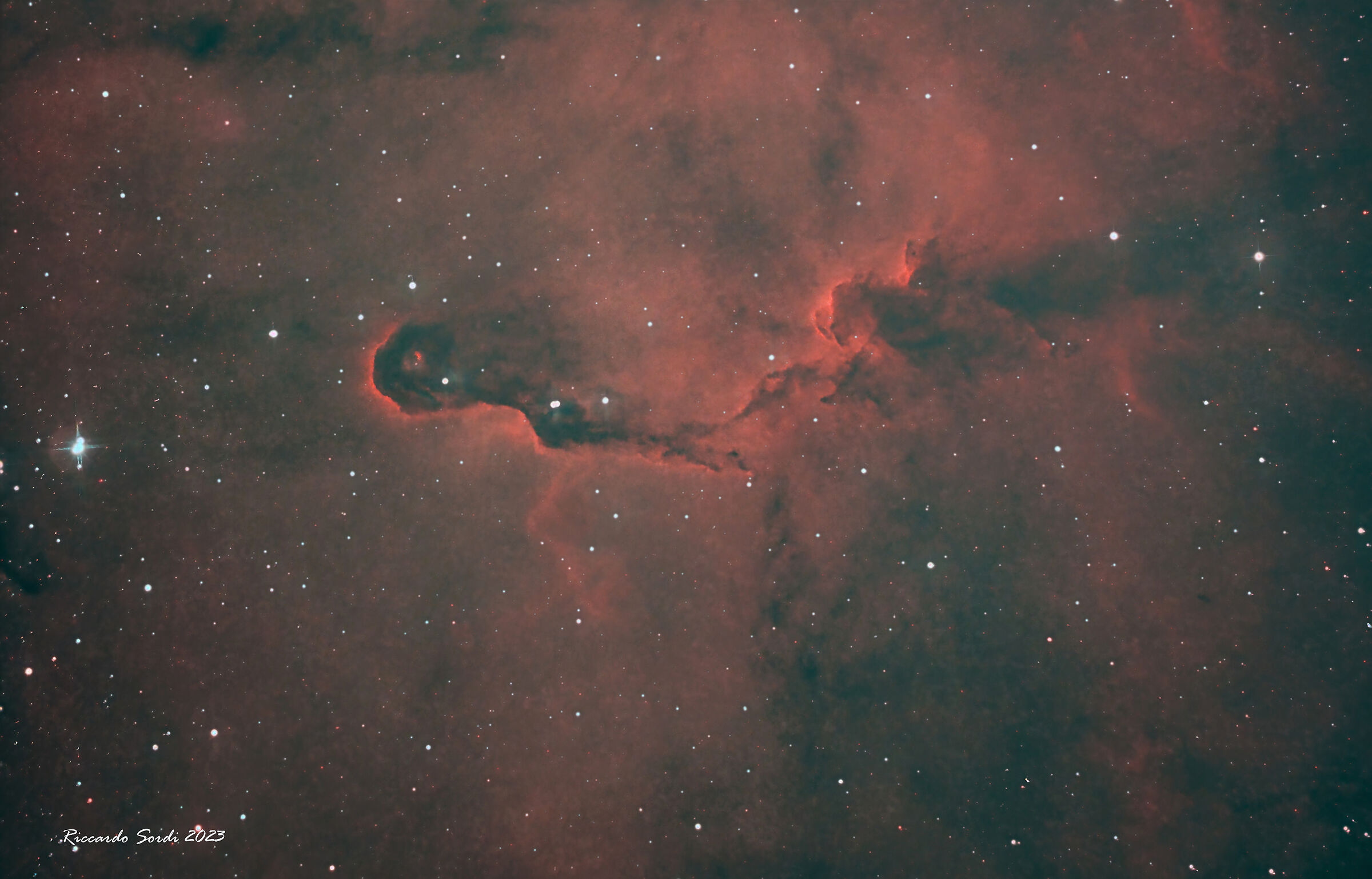 VdB 142 Proboscide di elefante in Cepheus