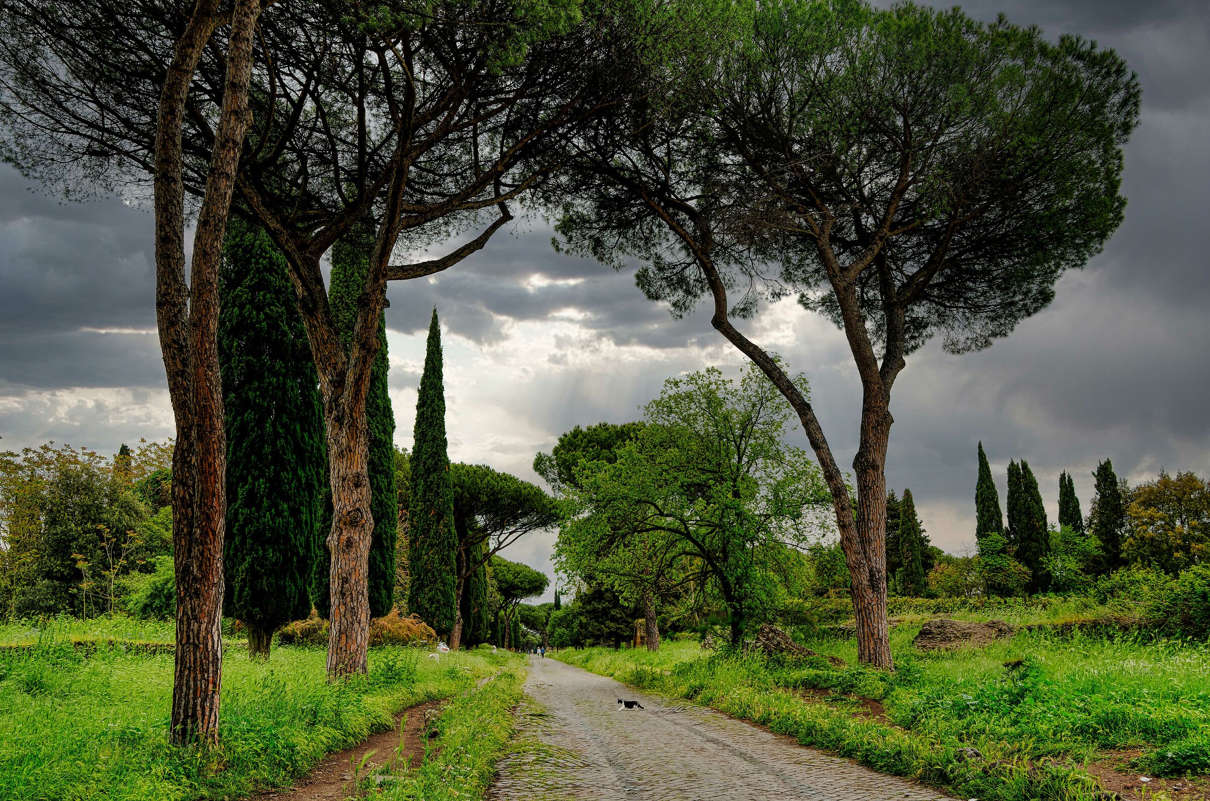 Via Appia antica Roma Magggio 2023