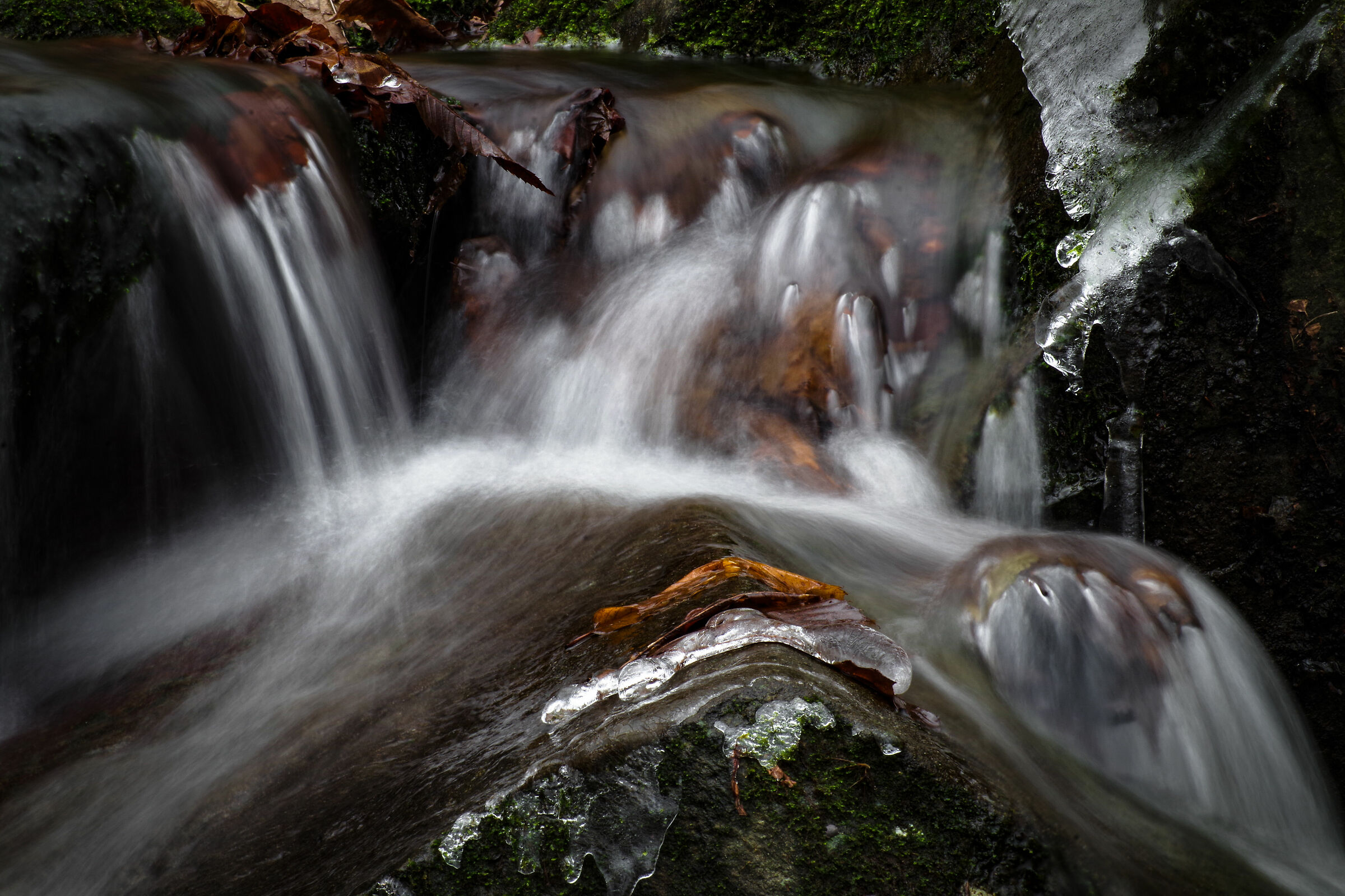 Water feature
