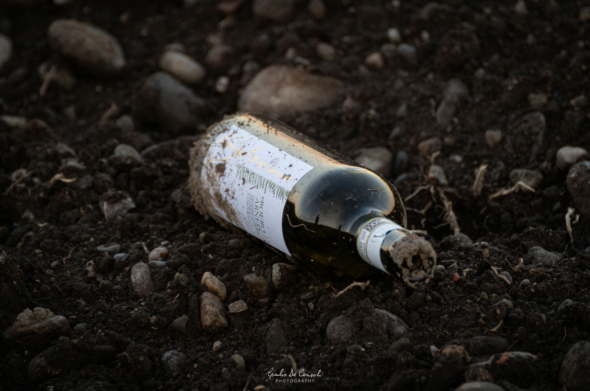 Piemonte, terra di vino